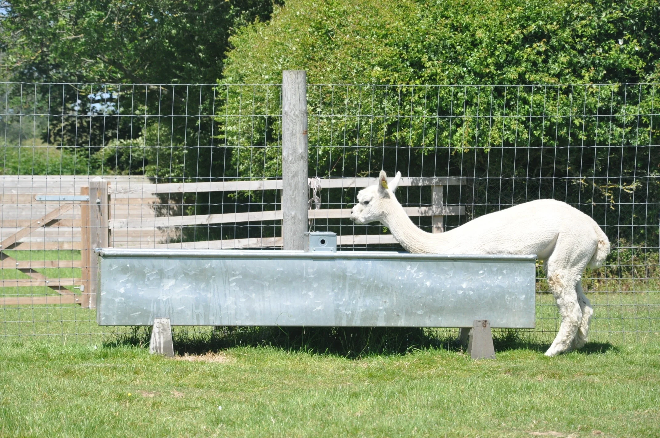 DSC_0051.JPG