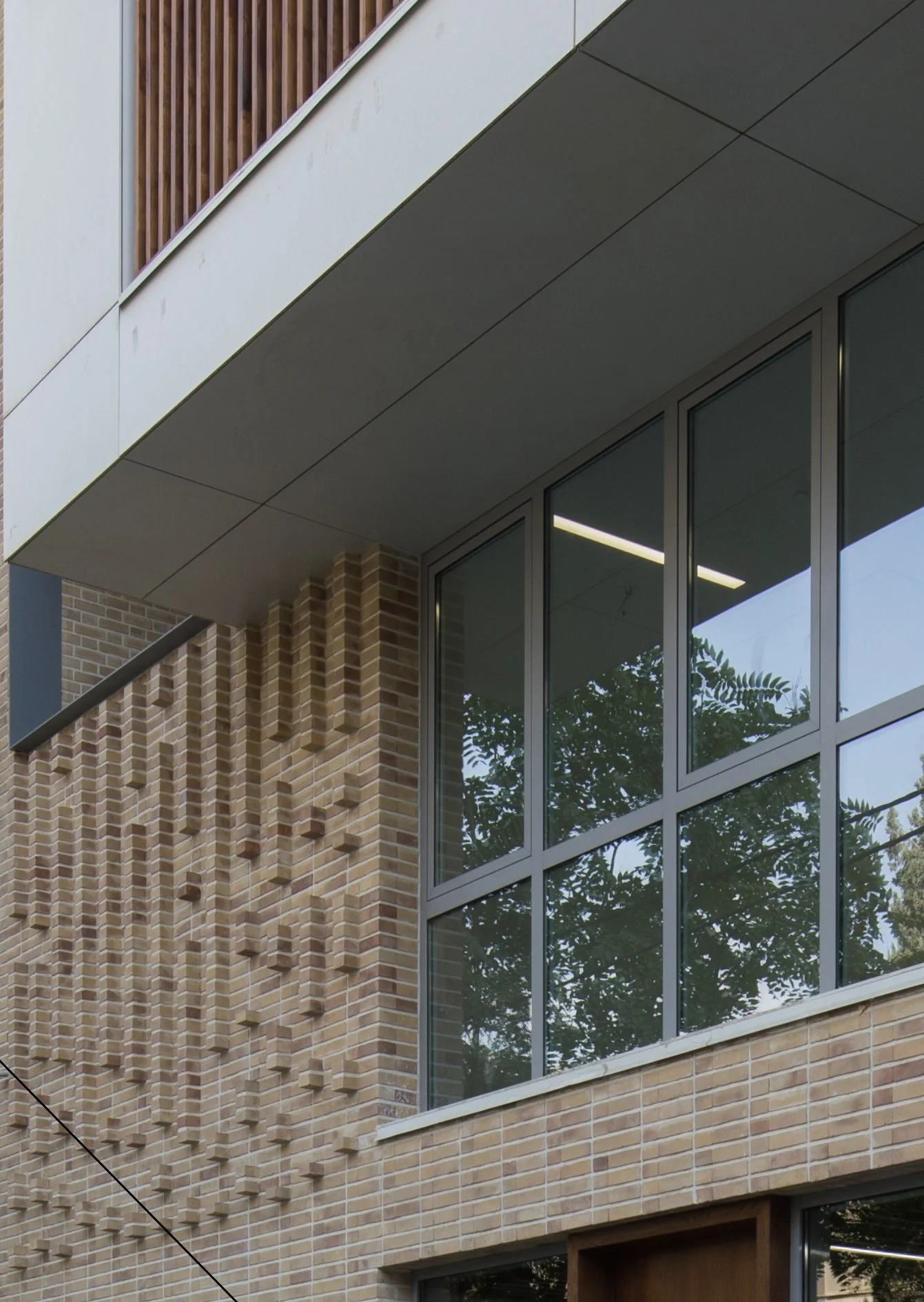 Bardia Office Building