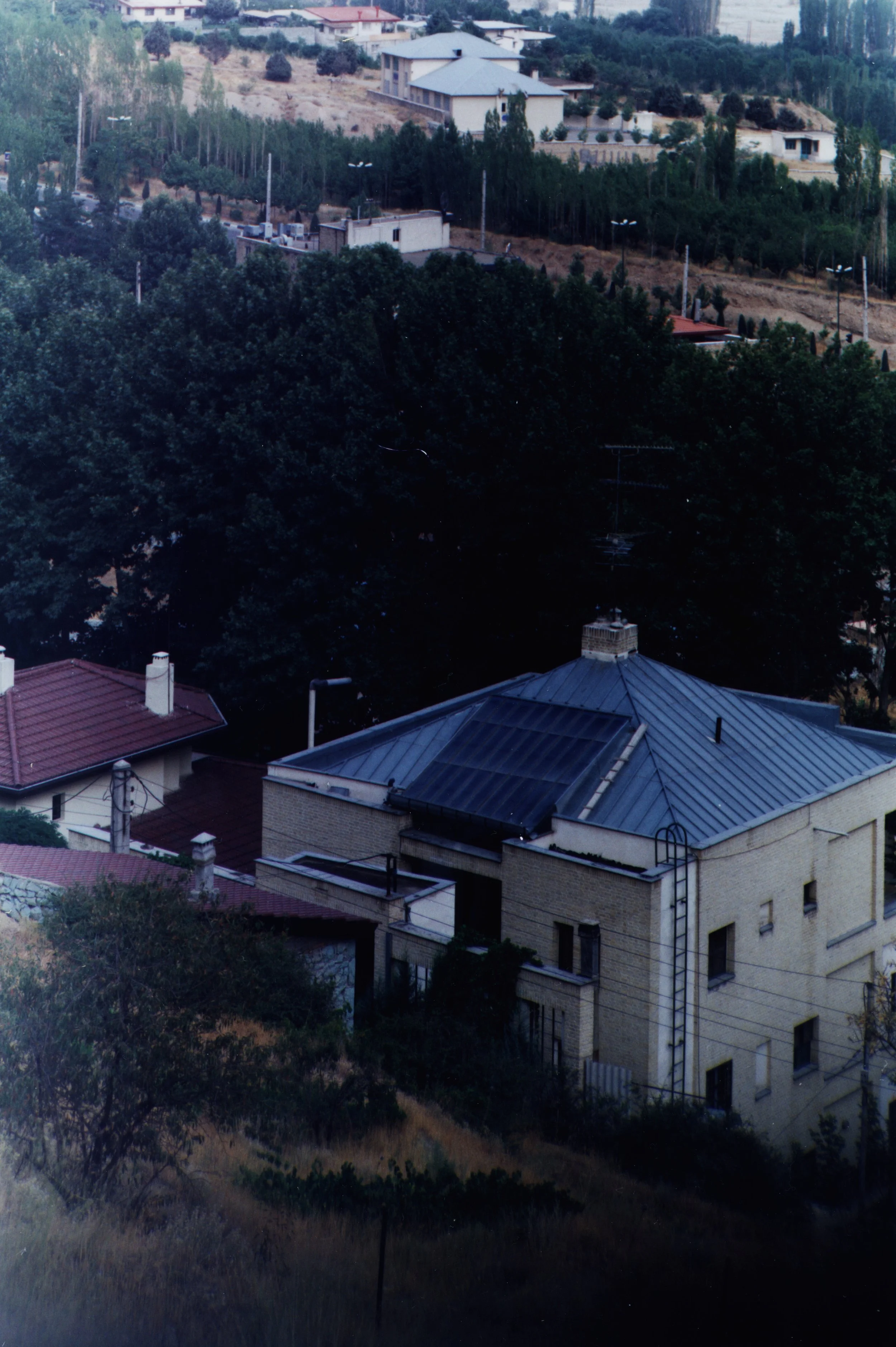 lav-8.jpg