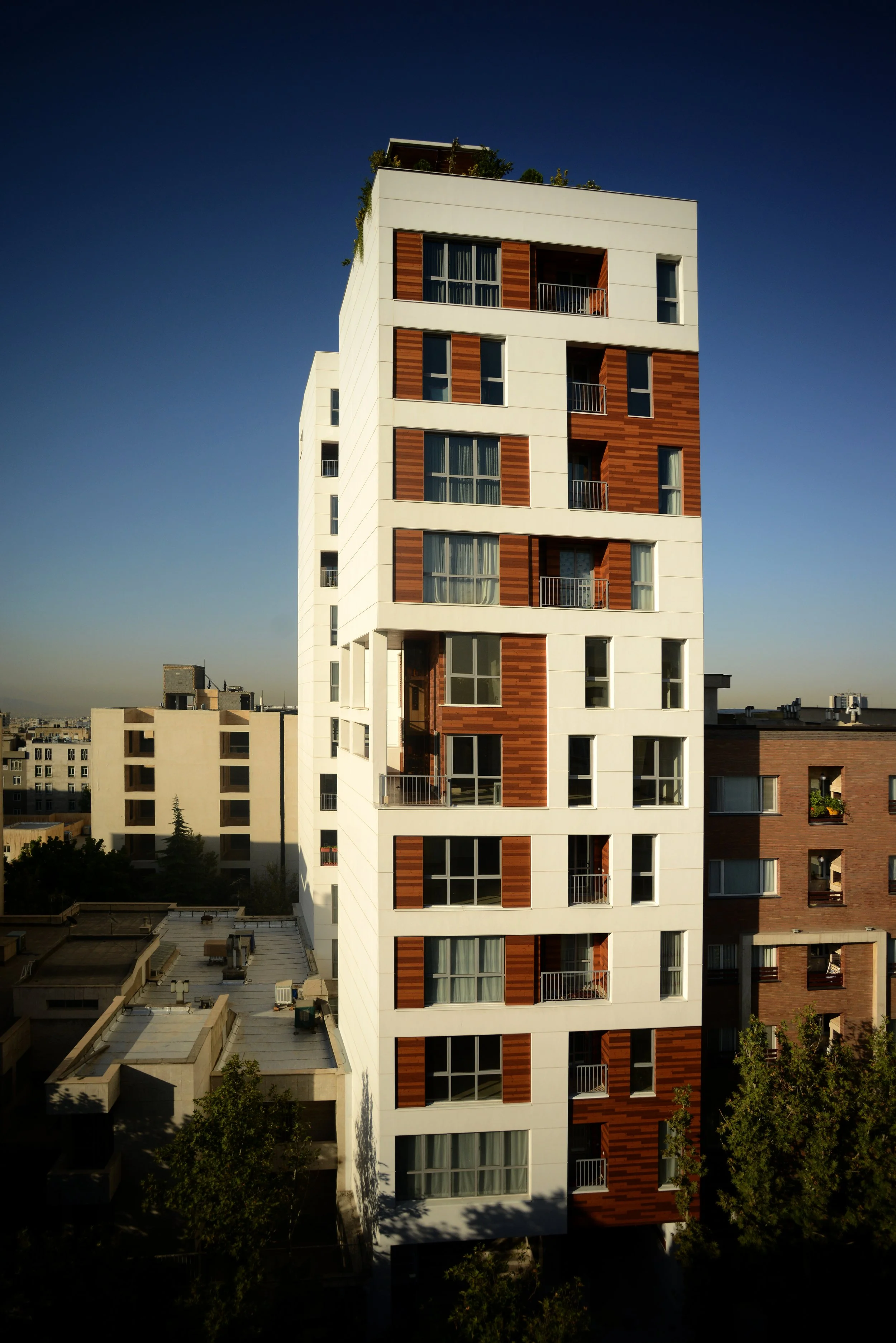 DSC_3900.jpg