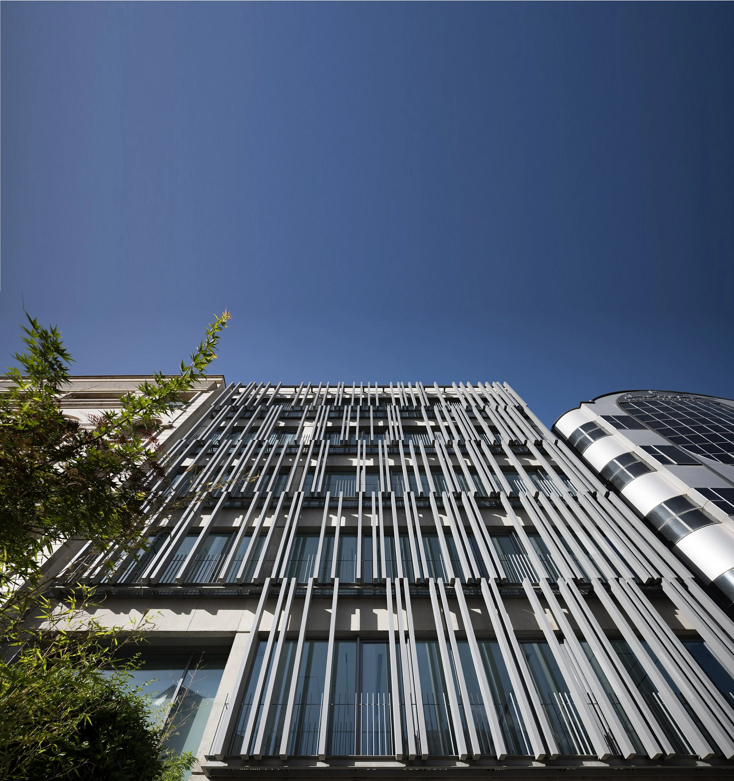 Modern multi-story building with large glass windows and metal architectural elements, a tree with green leaves in the foreground, against a clear blue sky.