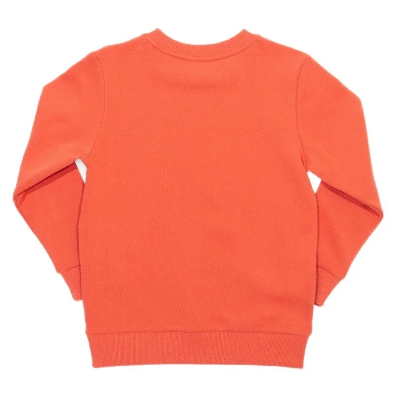 kite-boys-captain-croc-sweatshirt-backview.jpg