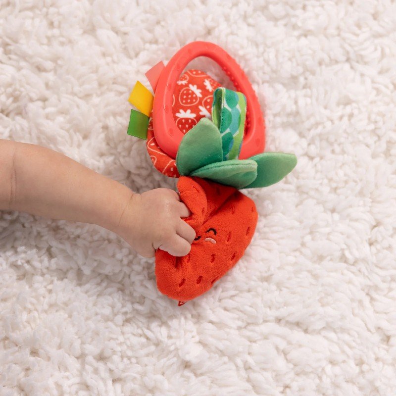 melissa_and_doug_peek_a_boo_strawberry_toy_for_babiesjpg.jpg