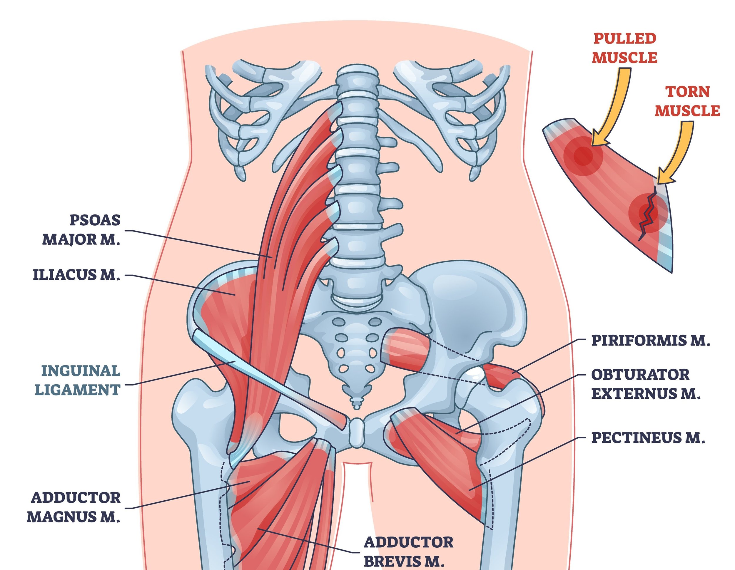 3 Reasons Your Muscles Aren't Healing