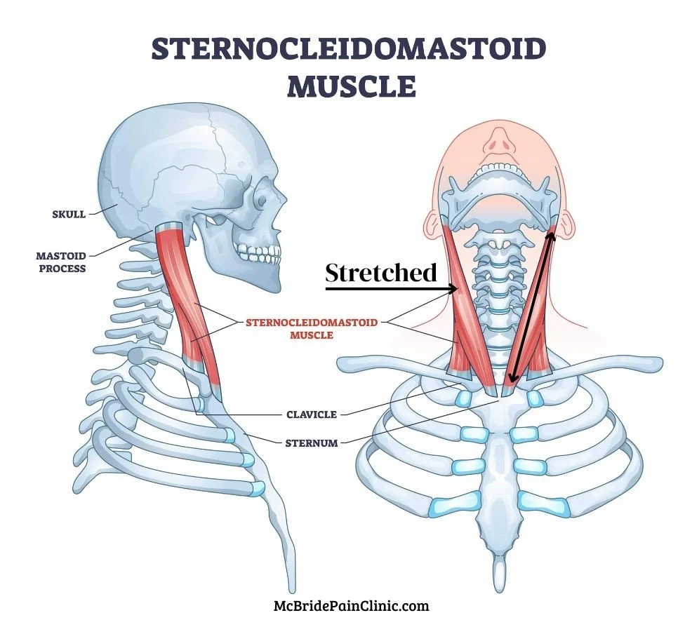 SCM Stretch-Cropped.jpg