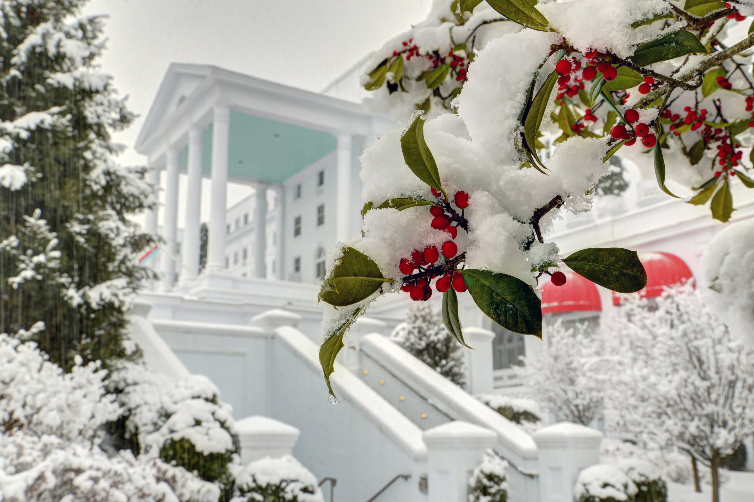 Greenbrier Holiday (2024)