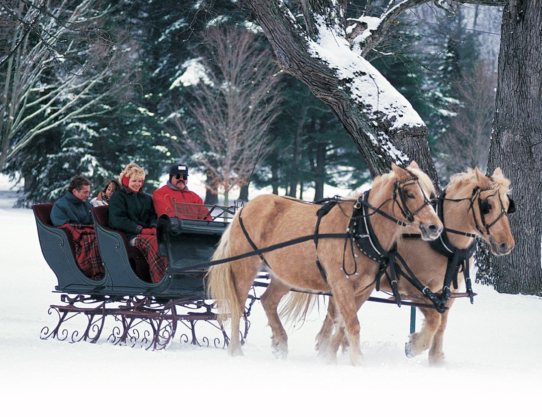 Group Sleigh Ride.jpg