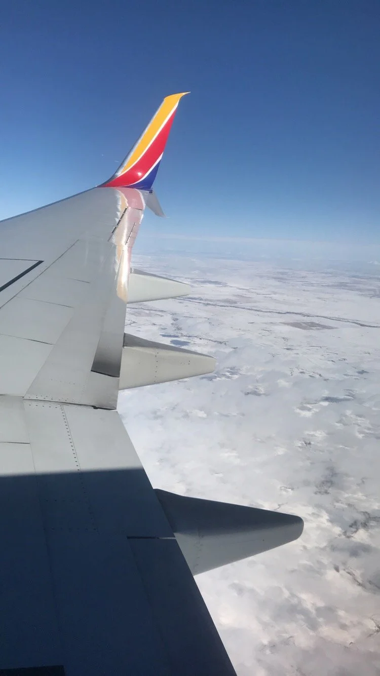 Deciding between passion and money when getting a job