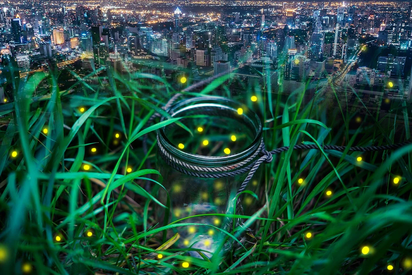 firefly background_LR.jpg