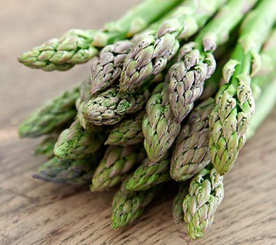 Asparagus jersey knight.jpg