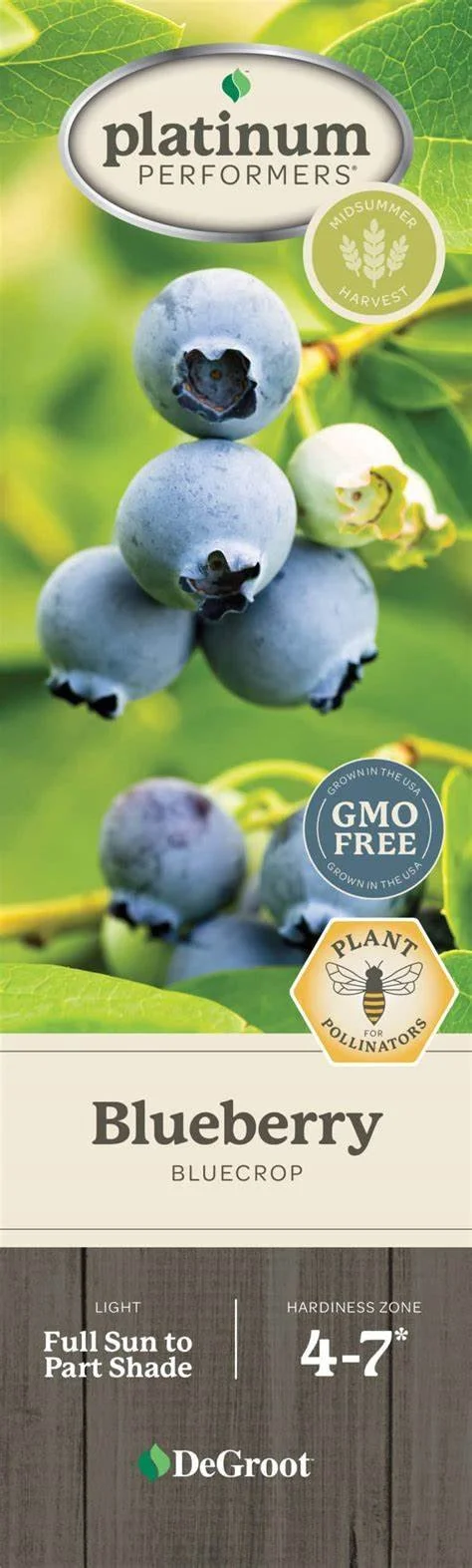 blueberry assorted.jpg