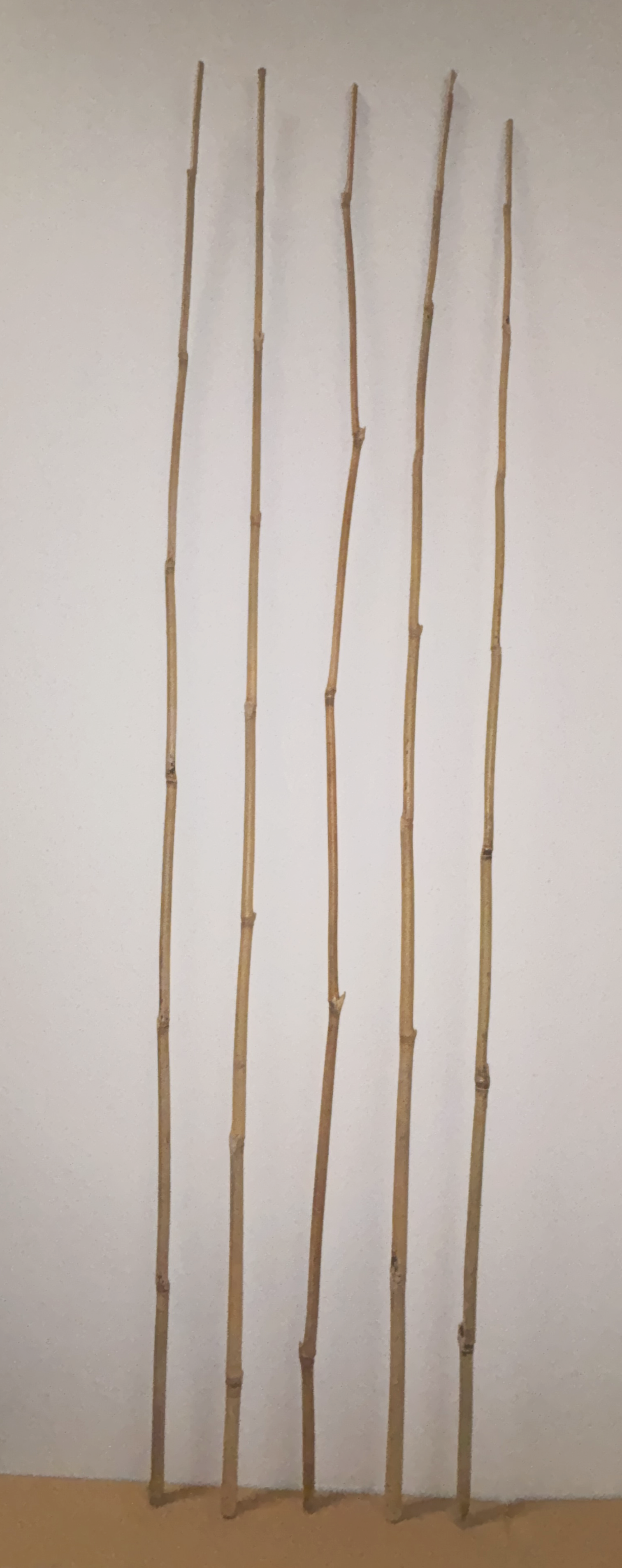 Bamboo_Stakes.png