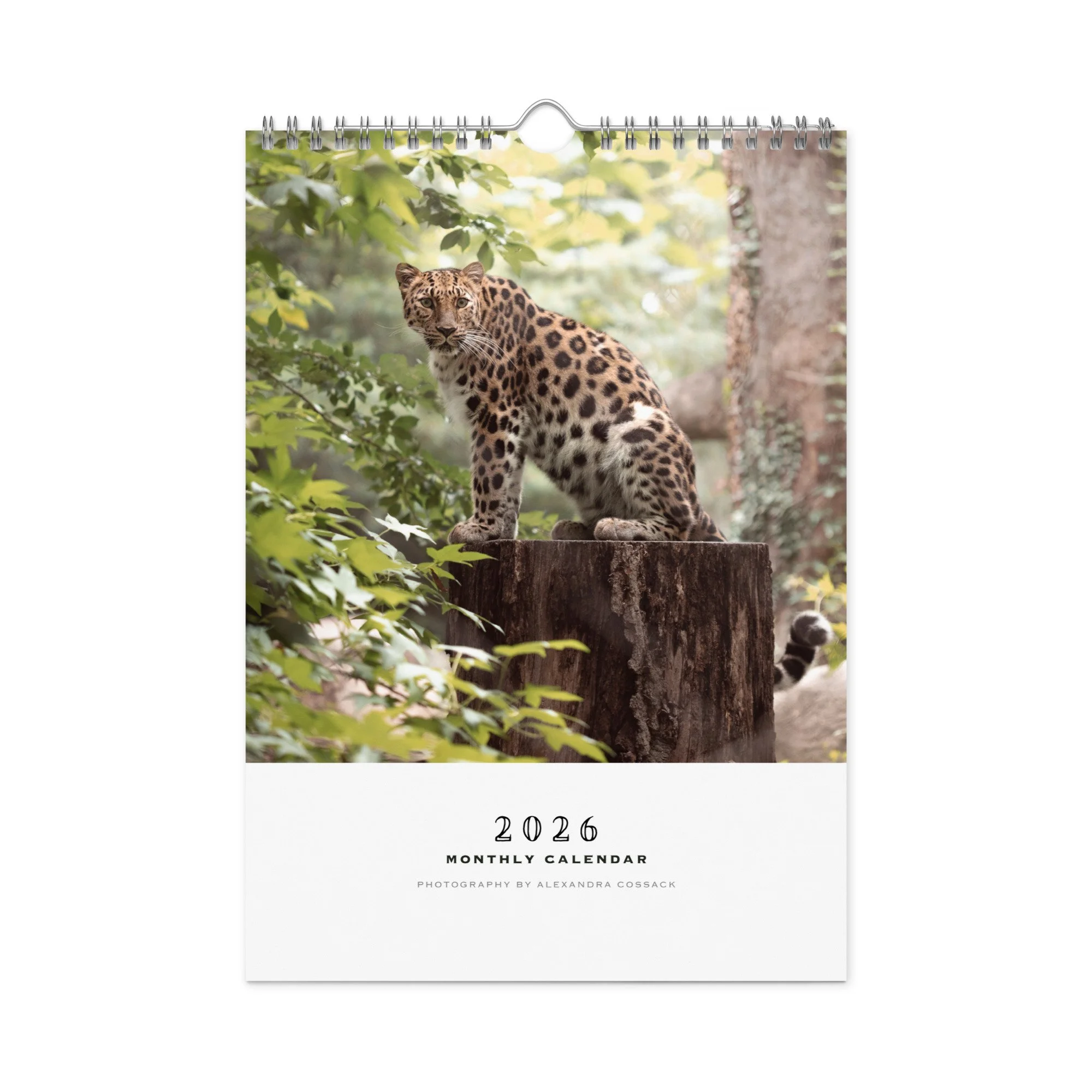wall-calendar-(blank)-white-8.26x11.69-front-68b331b77bd62.jpg