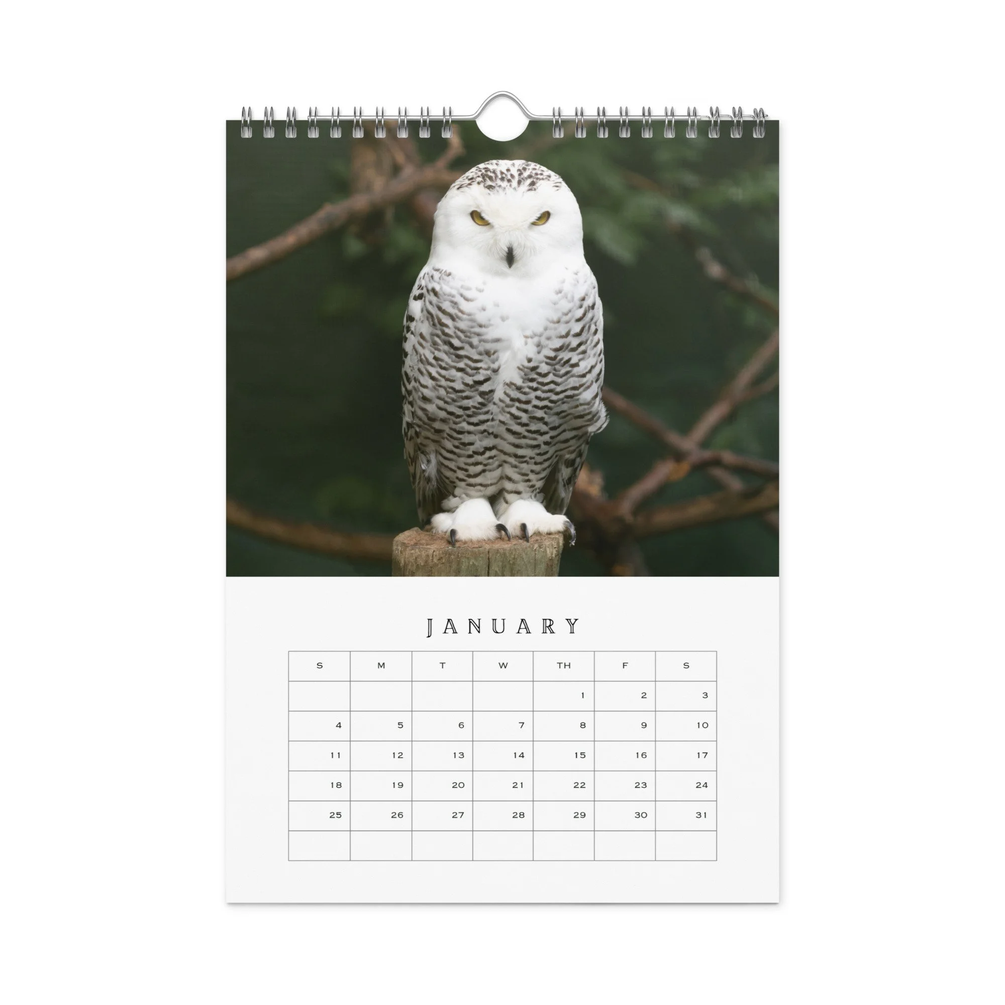 wall-calendar-(blank)-white-8.26x11.69-front-68b331b77c347.jpg