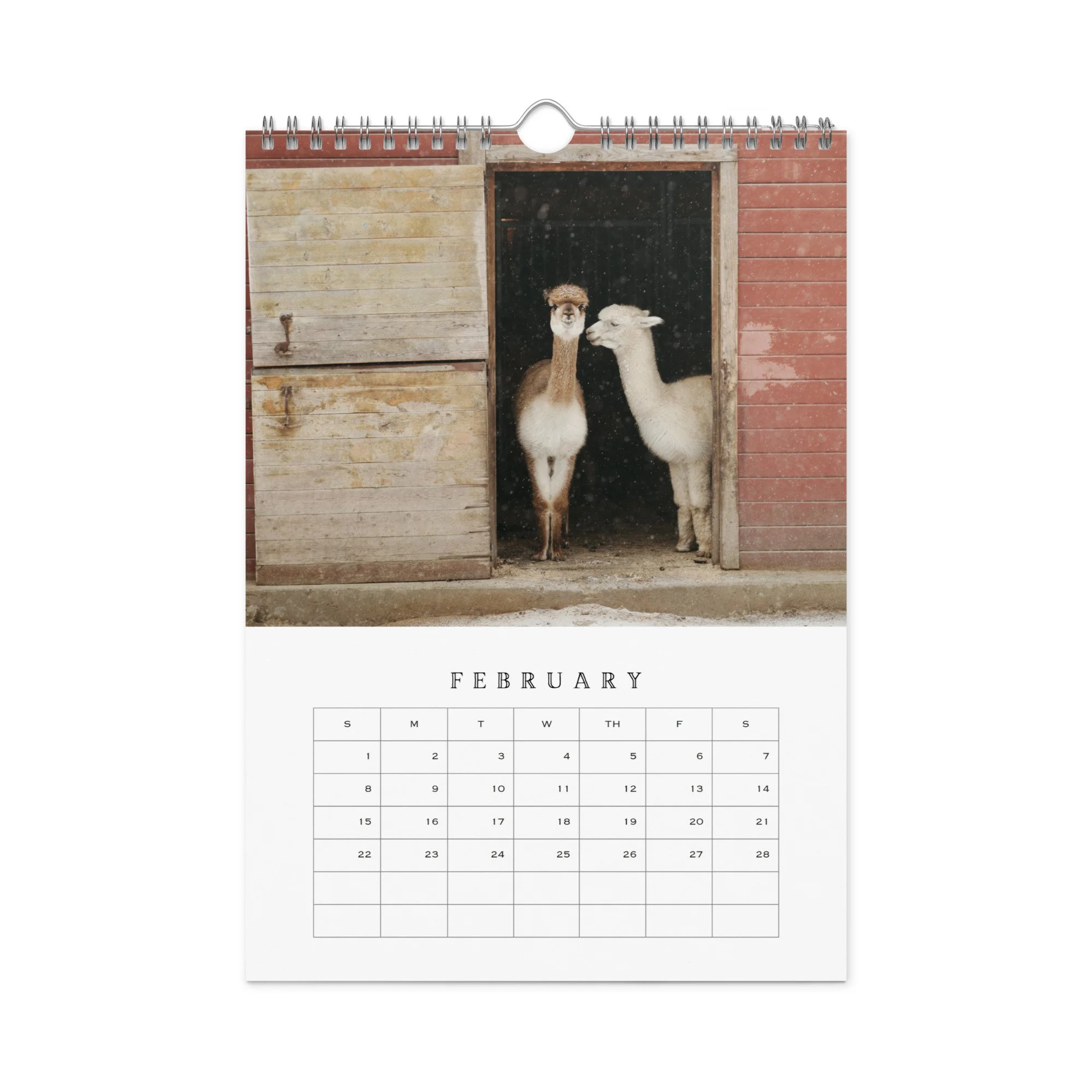wall-calendar-(blank)-white-8.26x11.69-front-68b331b77c457.jpg