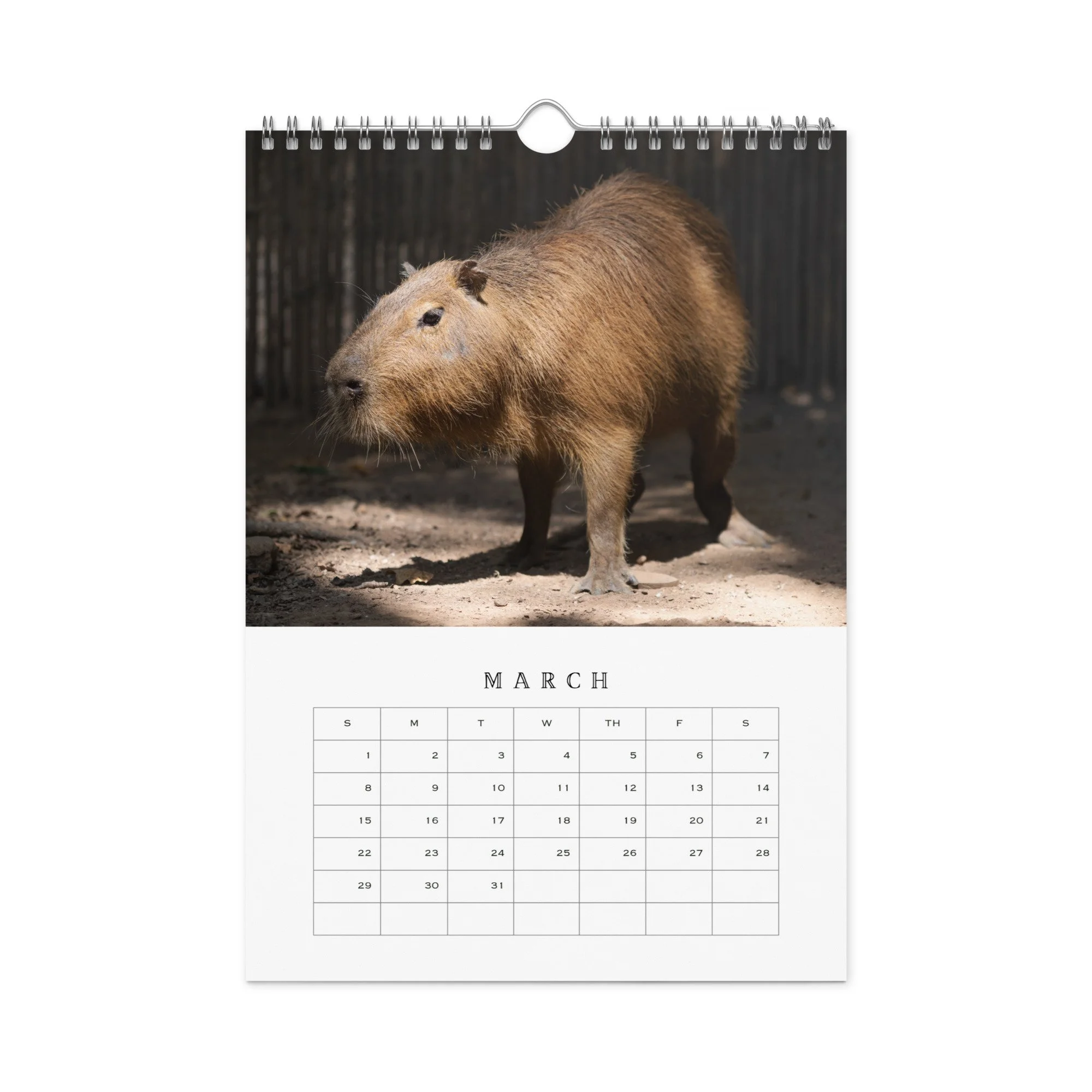 wall-calendar-(blank)-white-8.26x11.69-front-68b331b77c542.jpg