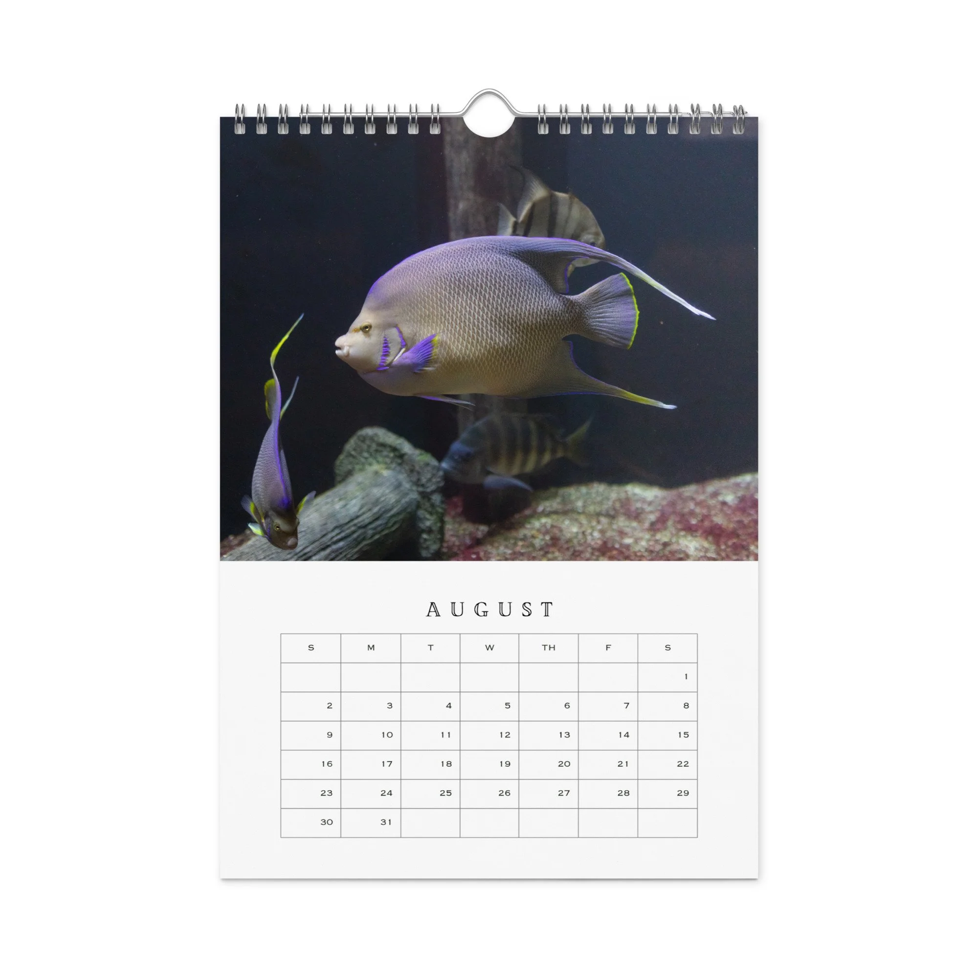 wall-calendar-(blank)-white-8.26x11.69-front-68b331b77ca0b.jpg