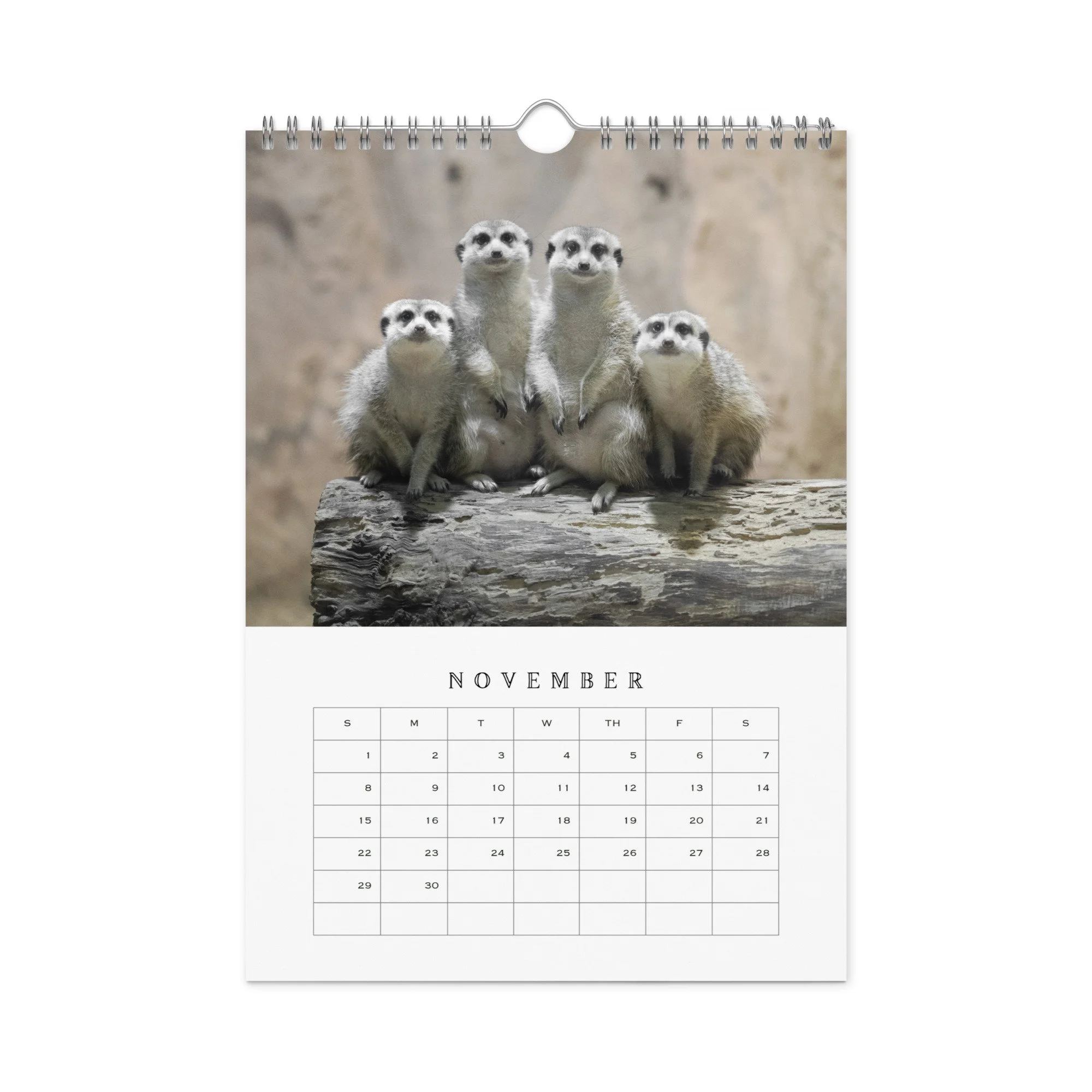 wall-calendar-(blank)-white-8.26x11.69-front-68b331b77ccbb.jpg