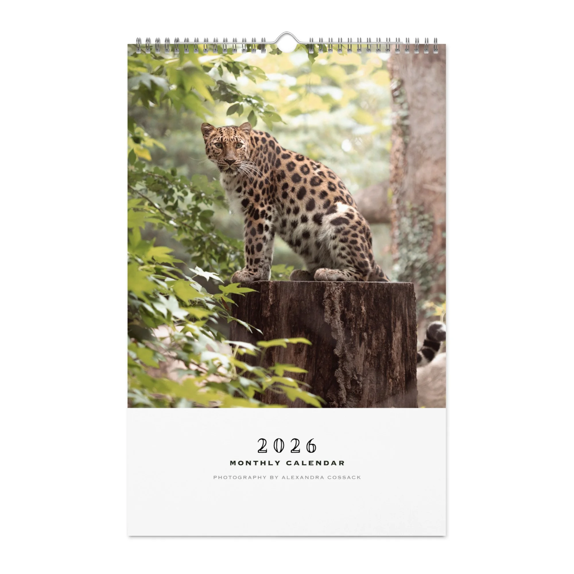 wall-calendar-(blank)-white-11x17-front-68b331b77ce81.jpg