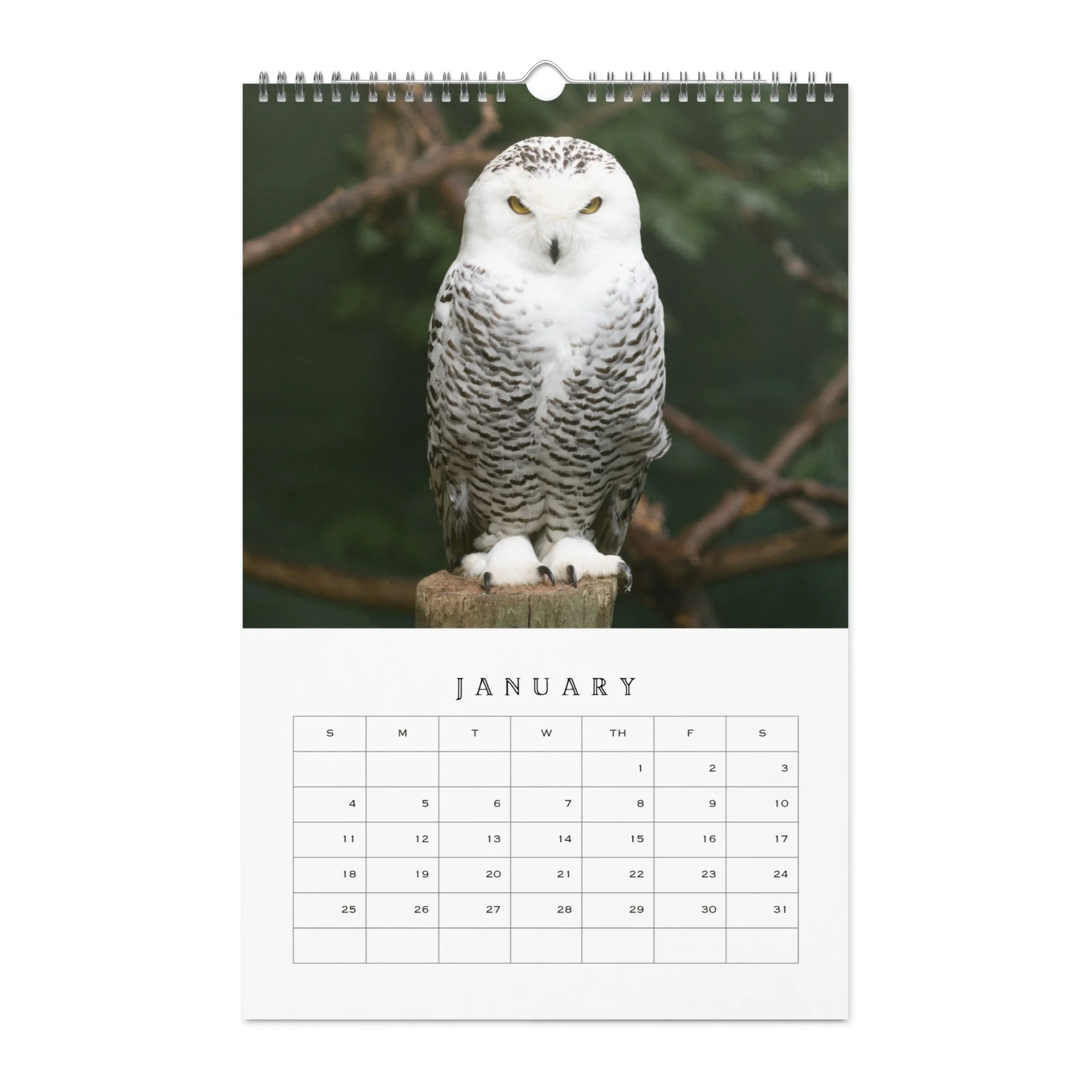 wall-calendar-(blank)-white-11x17-front-68b331b77cfa4.jpg