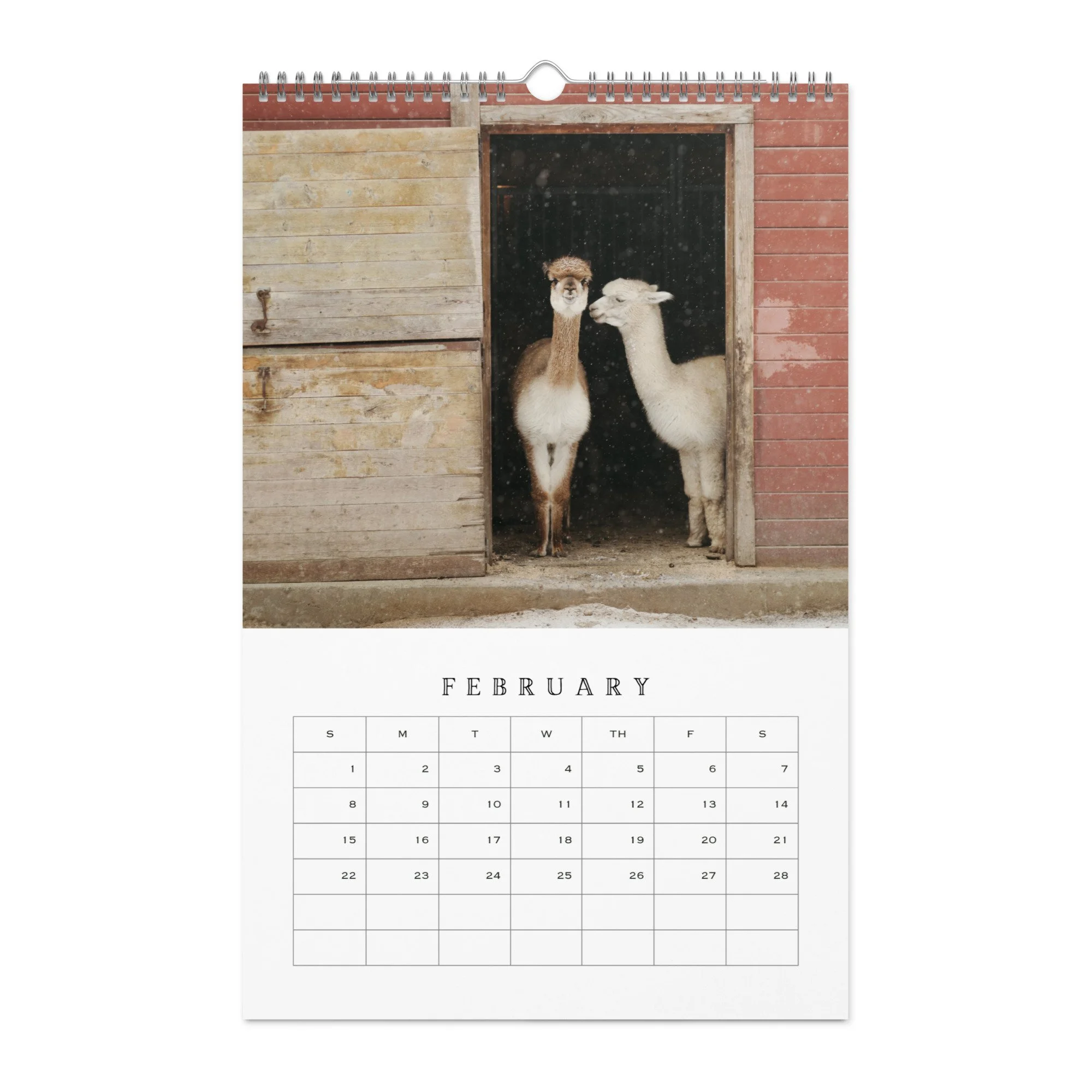 wall-calendar-(blank)-white-11x17-front-68b331b77d0ae.jpg