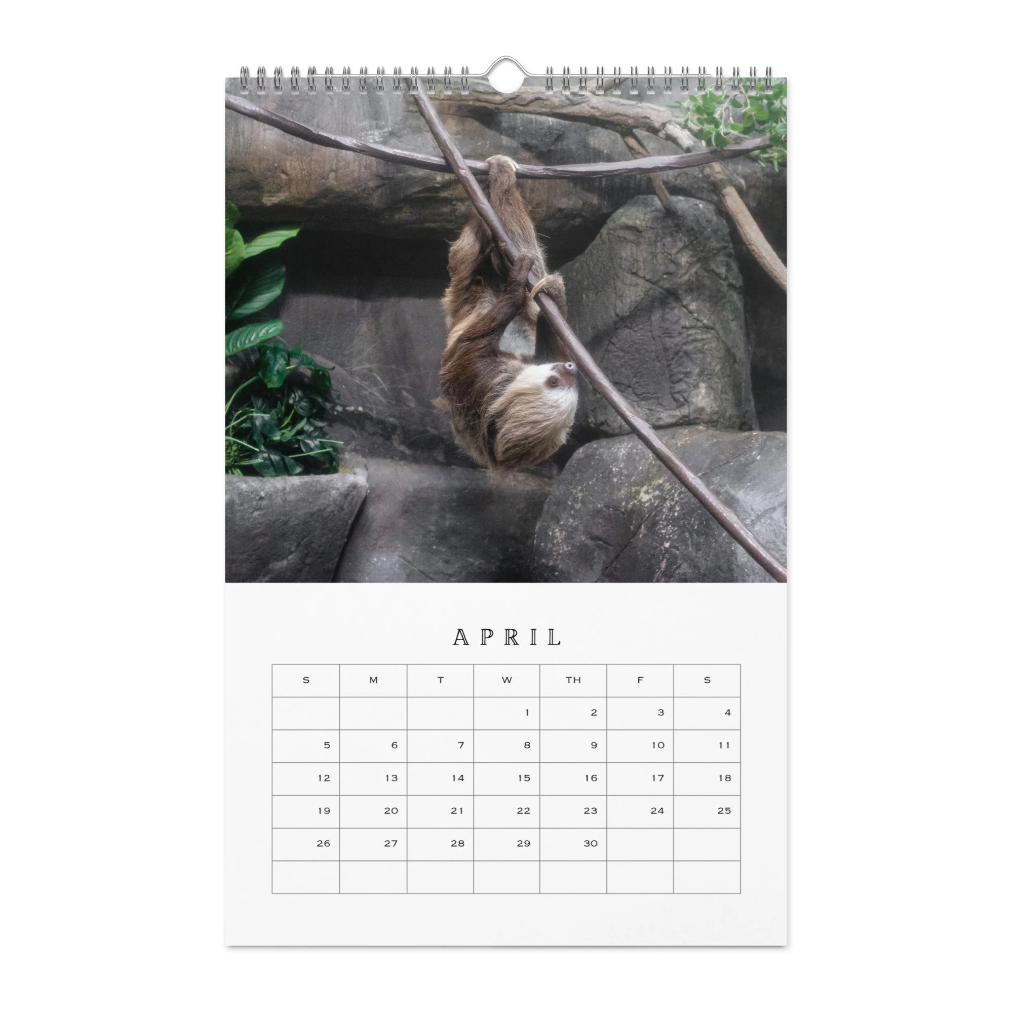 wall-calendar-(blank)-white-11x17-front-68b331b77d2b3.jpg