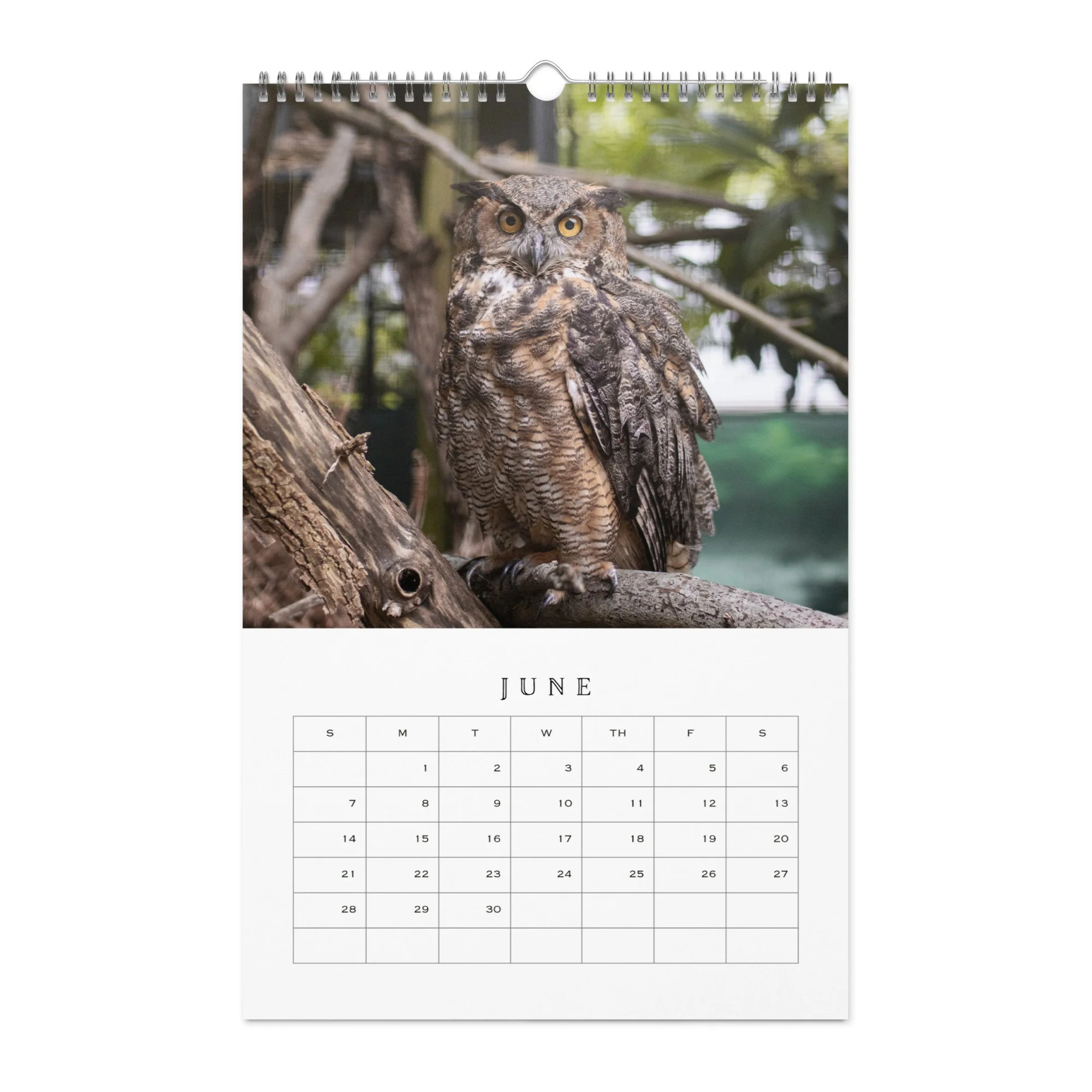 wall-calendar-(blank)-white-11x17-front-68b331b77d4ac.jpg