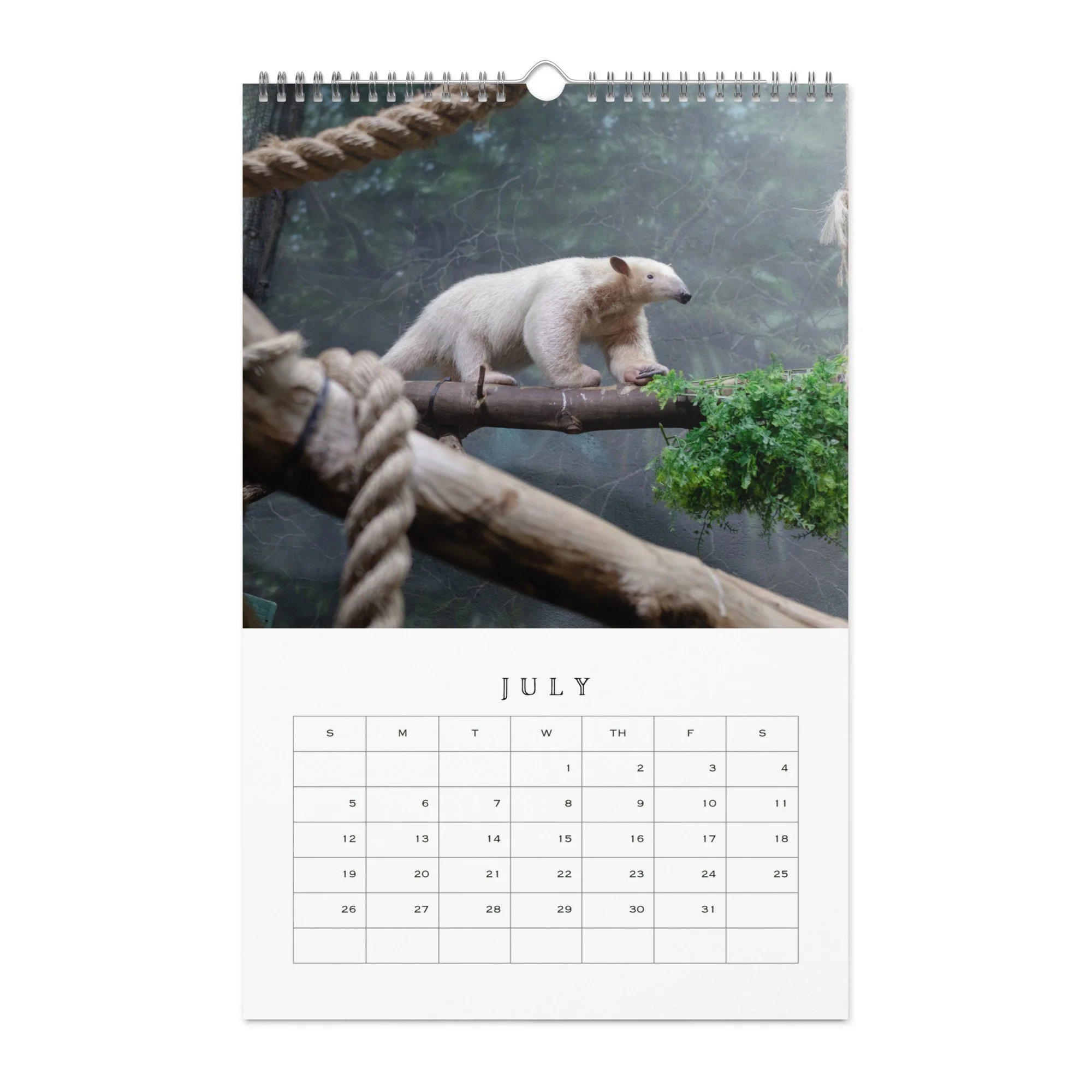 wall-calendar-(blank)-white-11x17-front-68b331b77d5aa.jpg