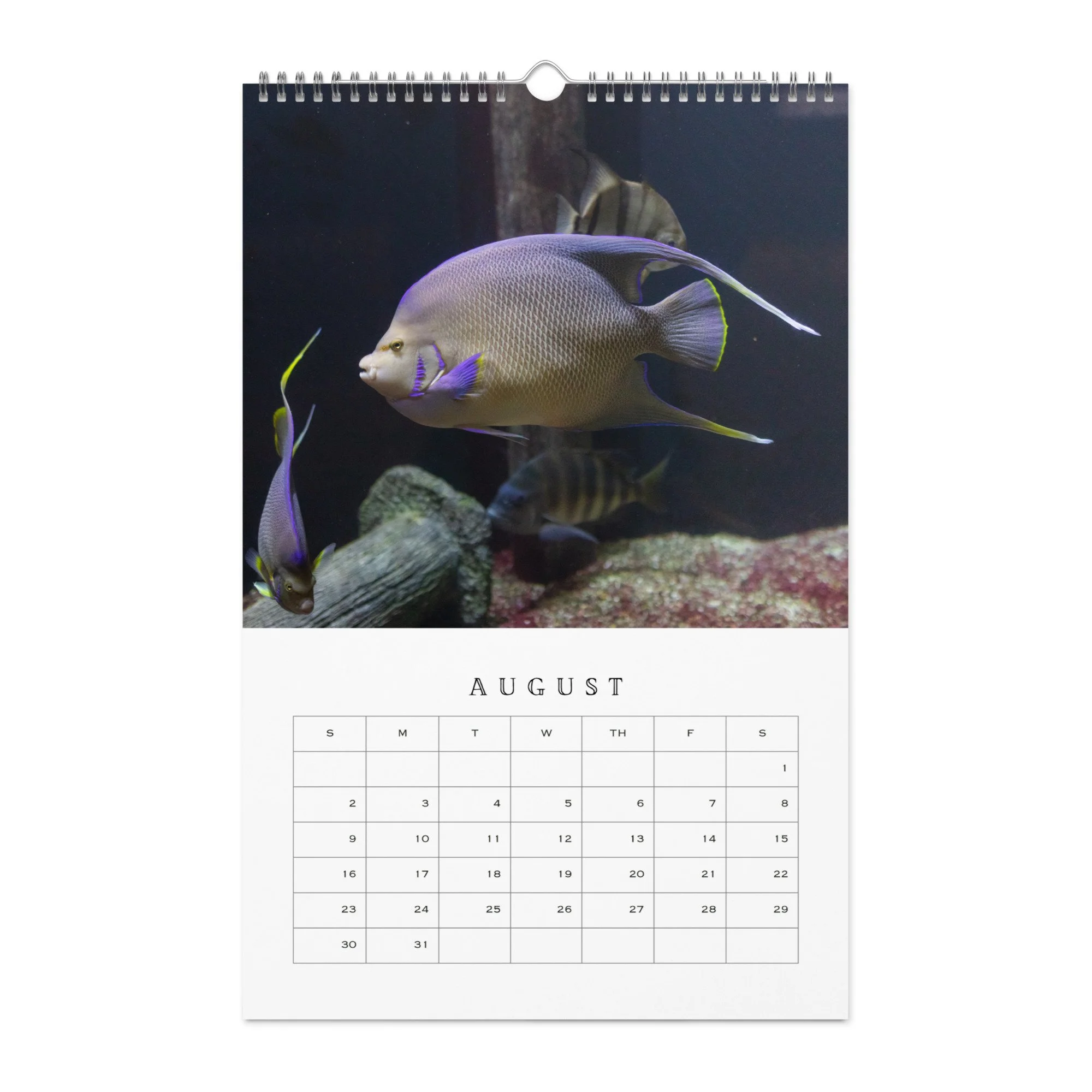 wall-calendar-(blank)-white-11x17-front-68b331b77d6b0.jpg