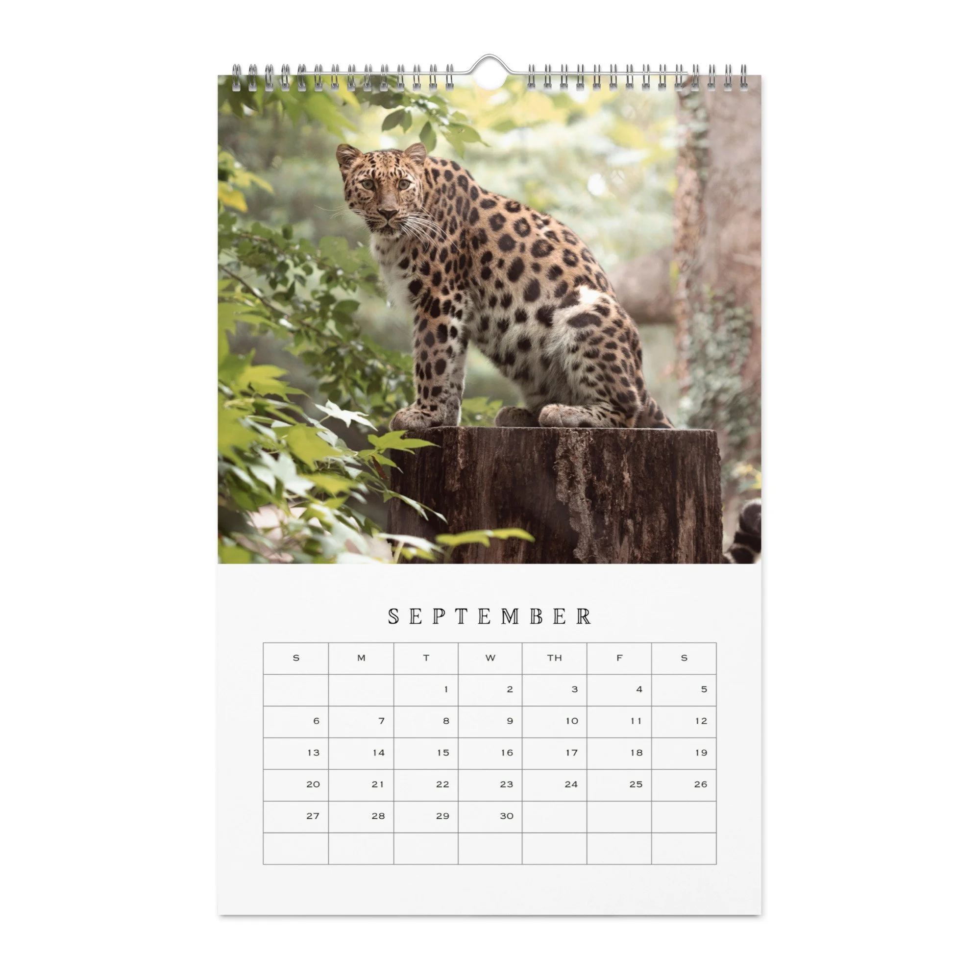 wall-calendar-(blank)-white-11x17-front-68b331b77d7b9.jpg