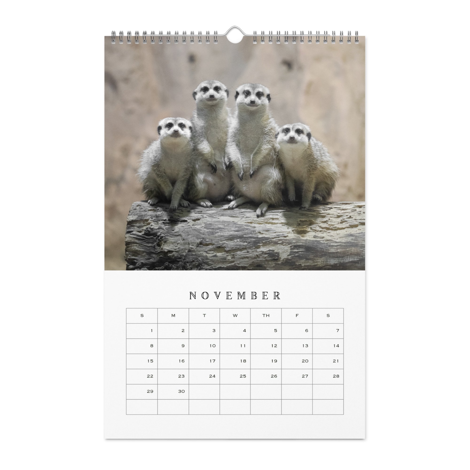 wall-calendar-(blank)-white-11x17-front-68b331b77d9d2.jpg