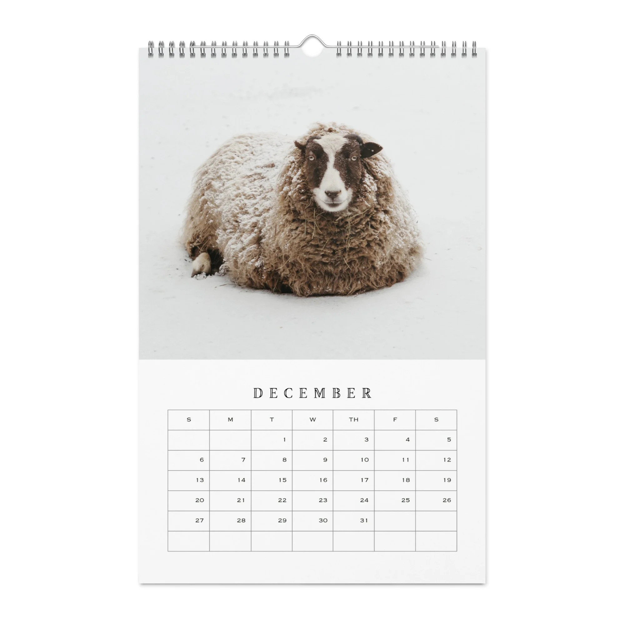 wall-calendar-(blank)-white-11x17-front-68b331b77dad9.jpg