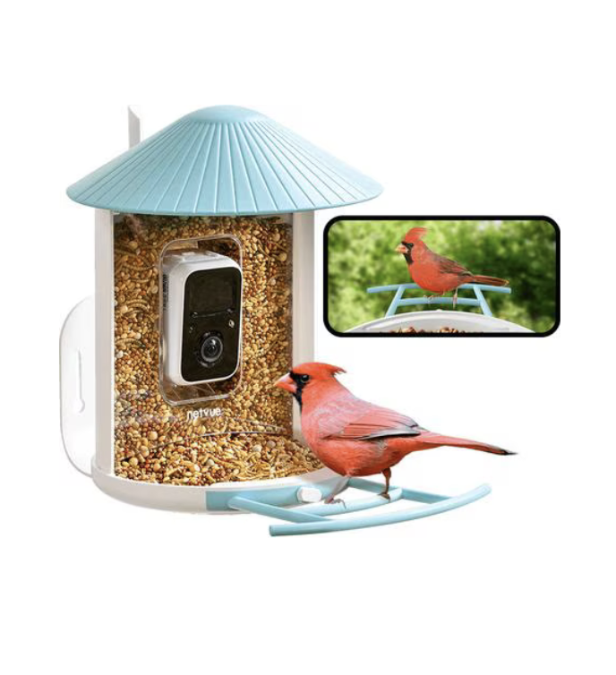 Birdify Smart Feeder