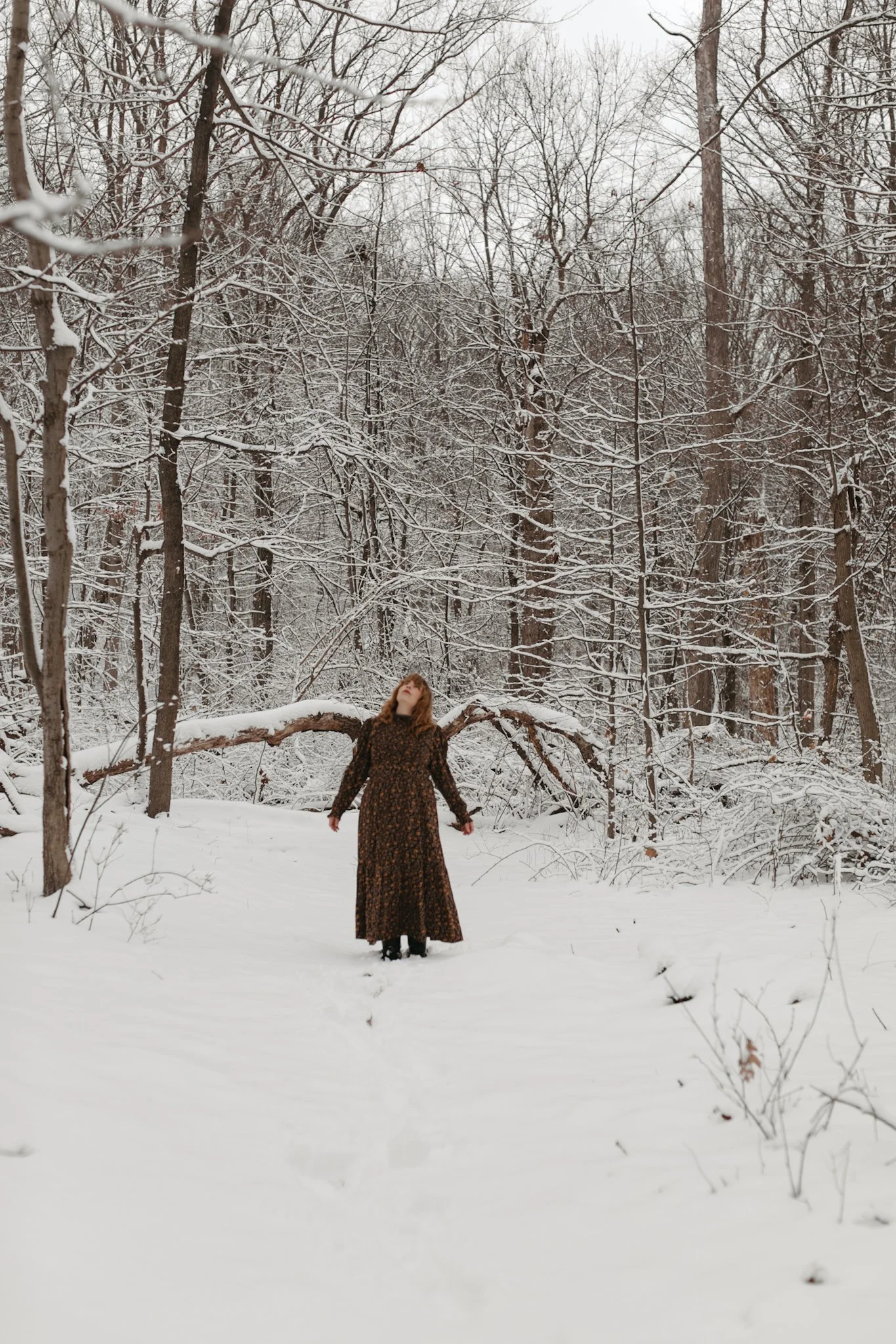 Art as Resistance: December