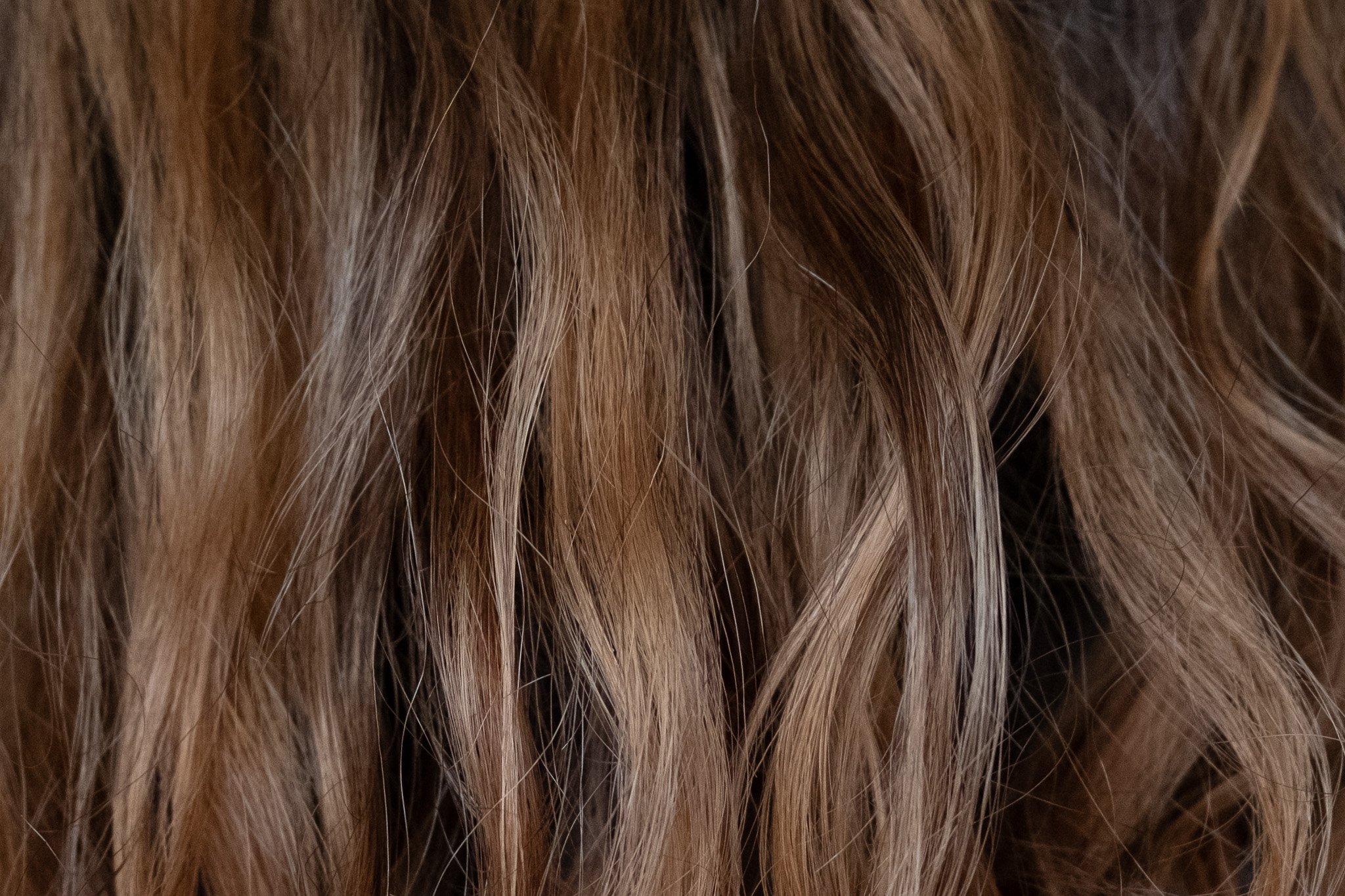 Best Products for Thick, Frizzy, Wavy Hair