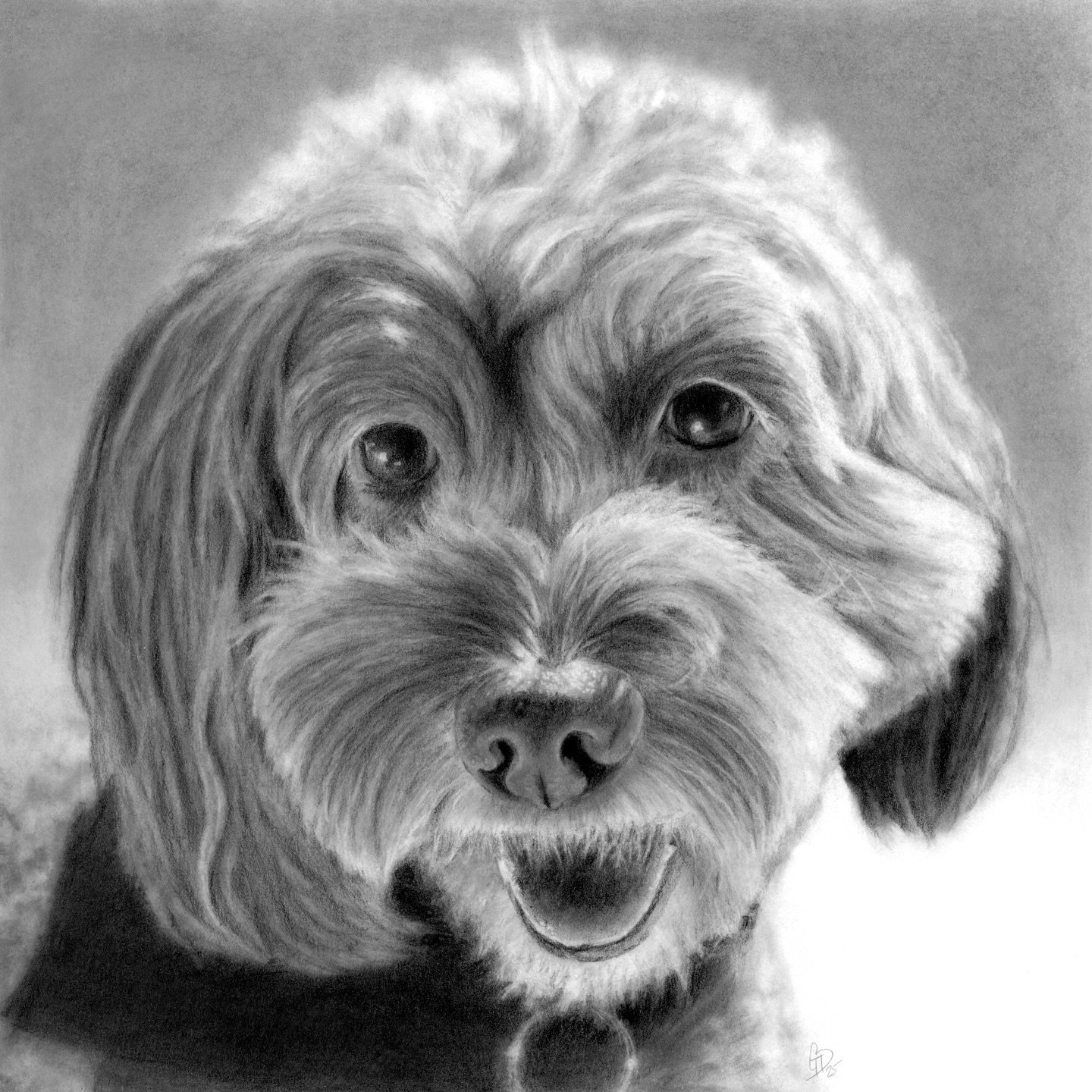 After spending months on a large, structured drawing, I decided to do something small, loose and fun. Meet Charlie, our miniature Labradoodle. This drawing is 8&rdquo; x 8&rdquo; and was a fun challenge as I&rsquo;ve never drawn a dog before. Would d