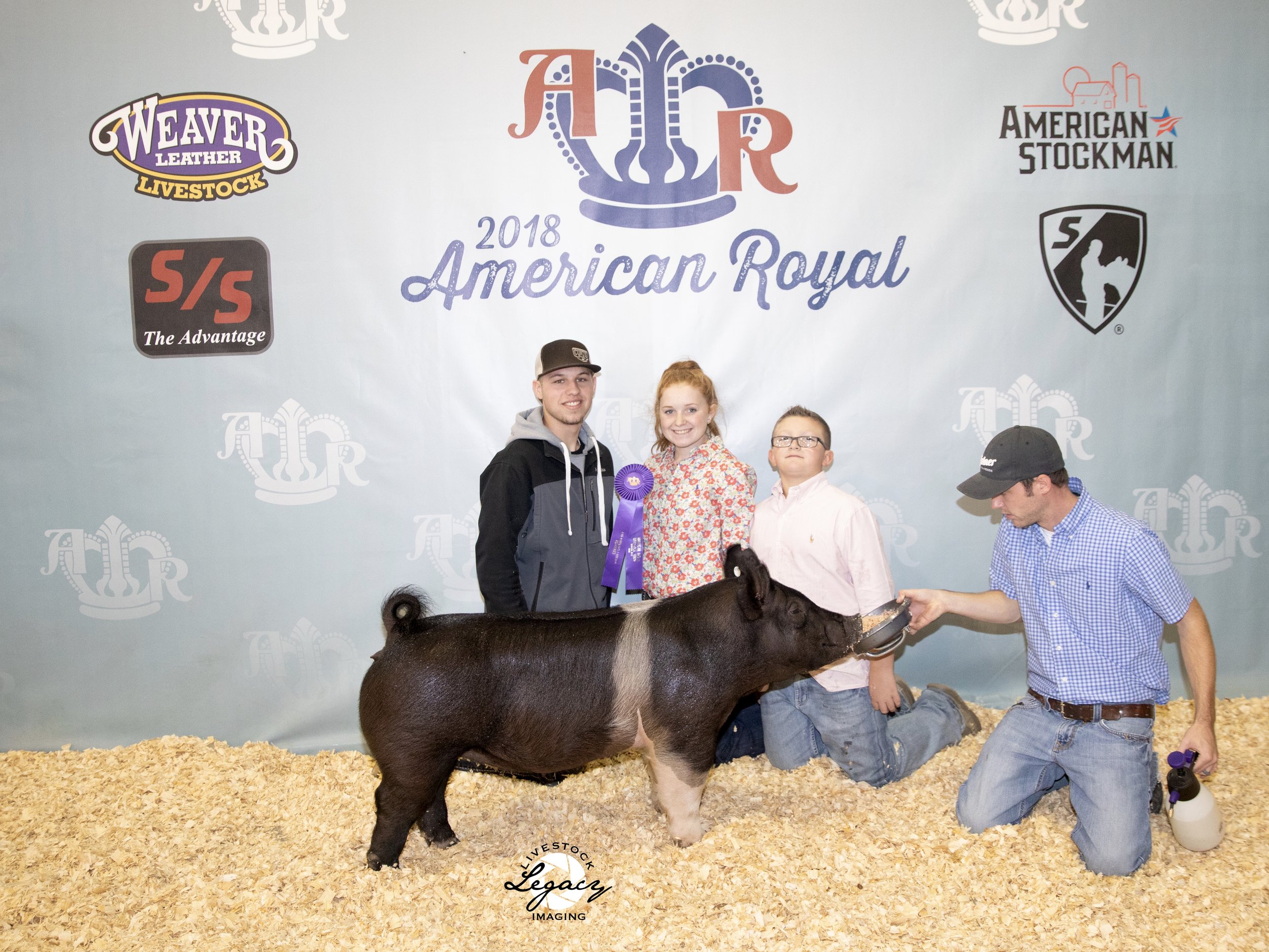 Champion Division 1 &amp; 3rd Overall Crossbred Gilt American Royal