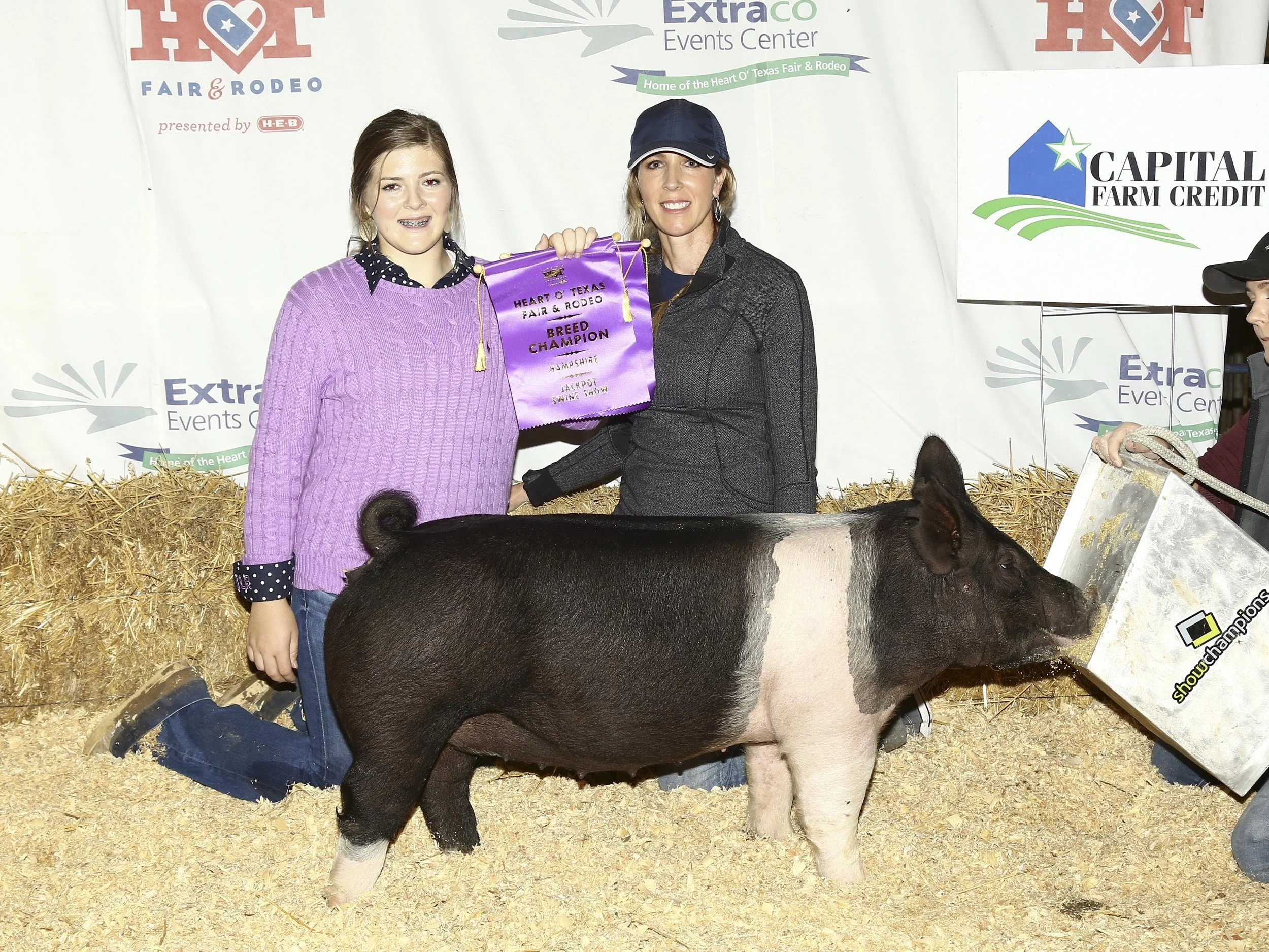 Champion Hamp Day 1 &amp; 2 Heart of Texas