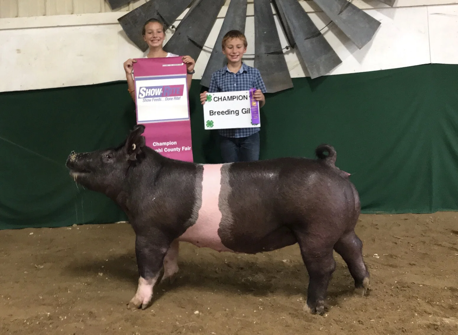 Champion Gilt Kandiyohi County Minnesota