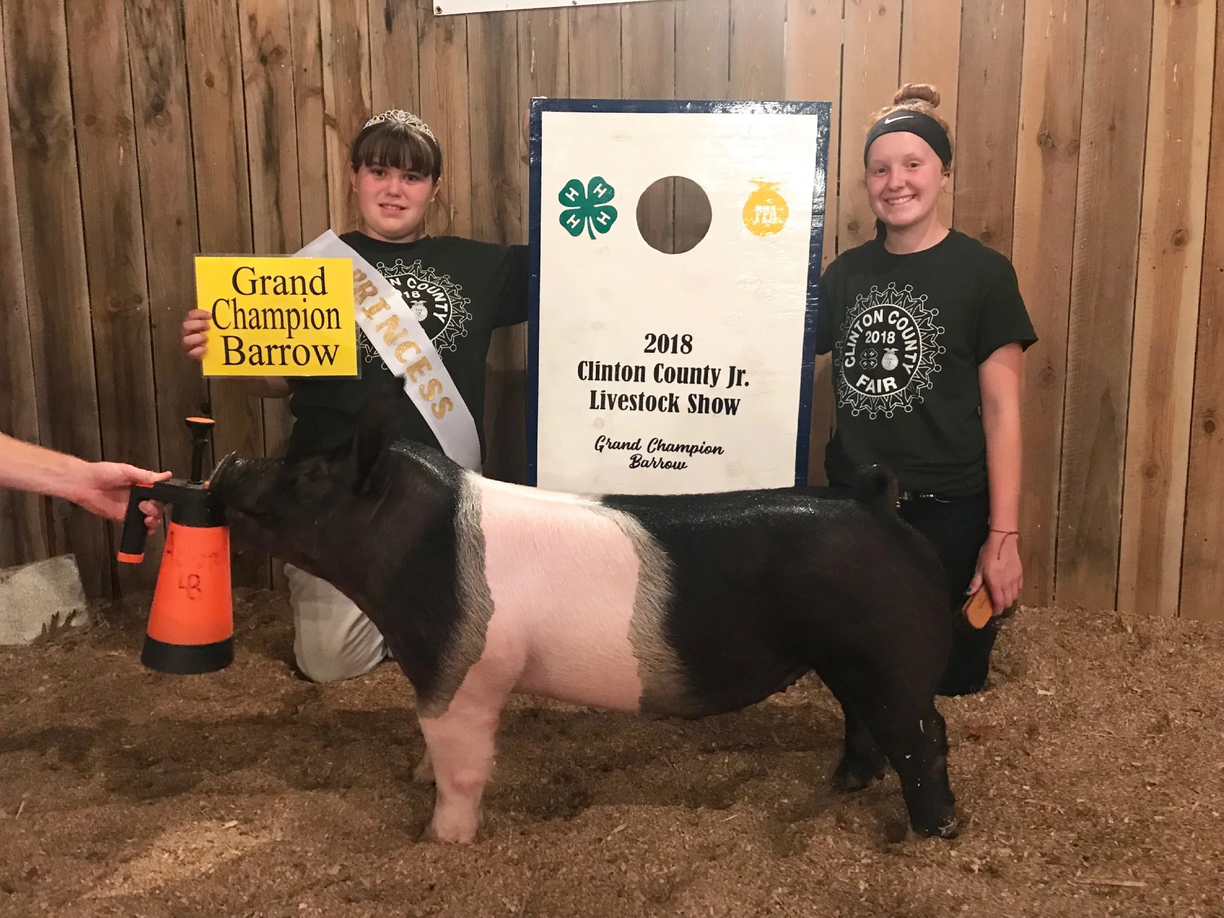 Grand Champion Barrow Clinton County Missouri
