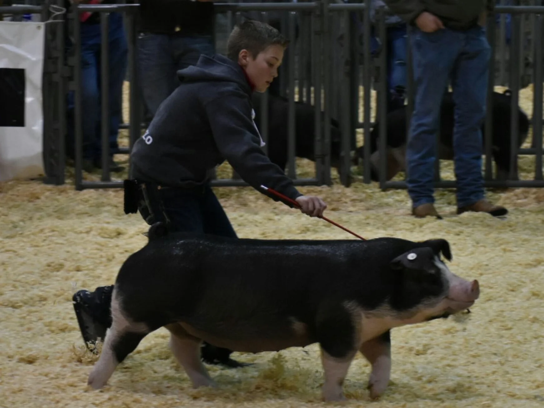 Multiple Time Champion or Reserve Poland Oklahoma 