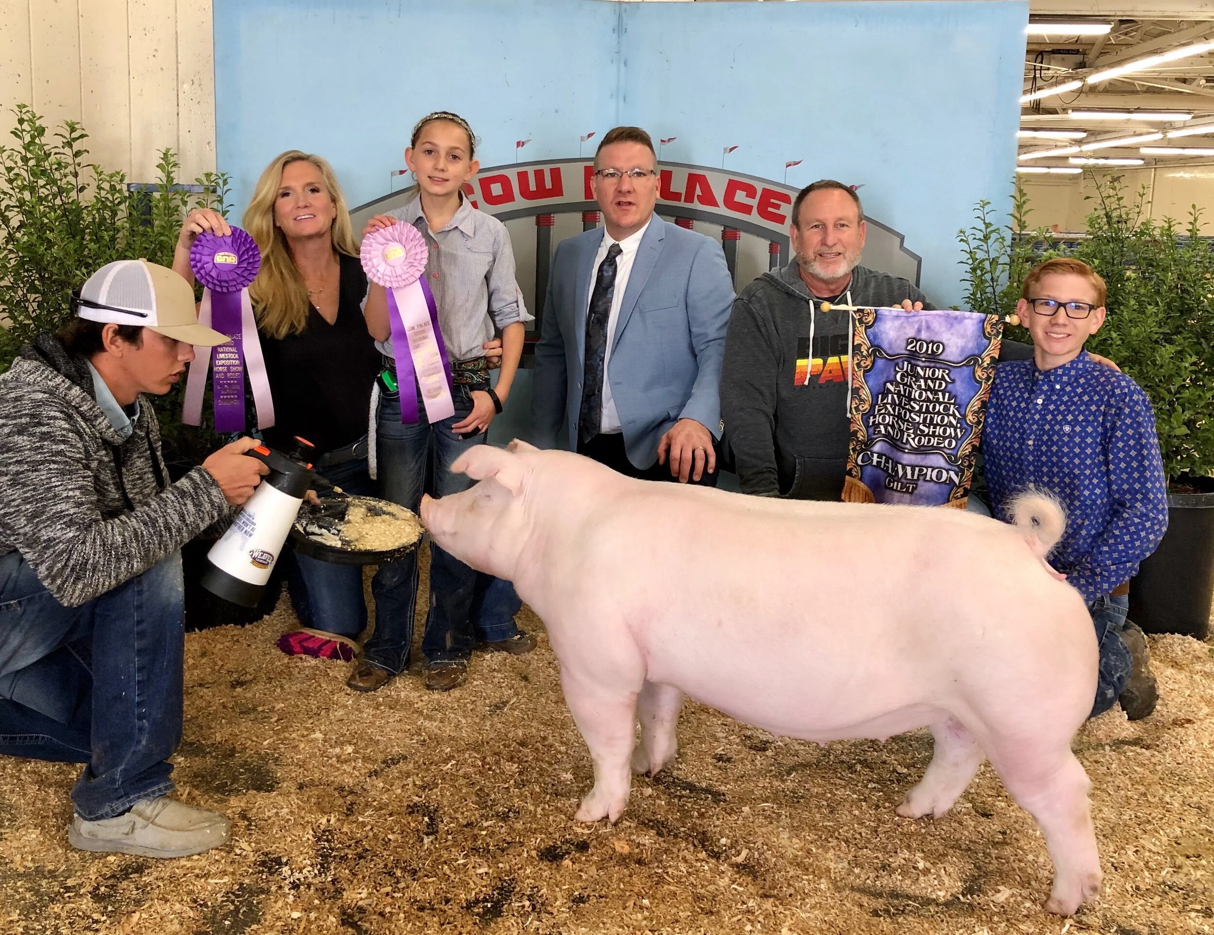 Champion Chester &amp; Champion Purebred Gilt Cow Palace