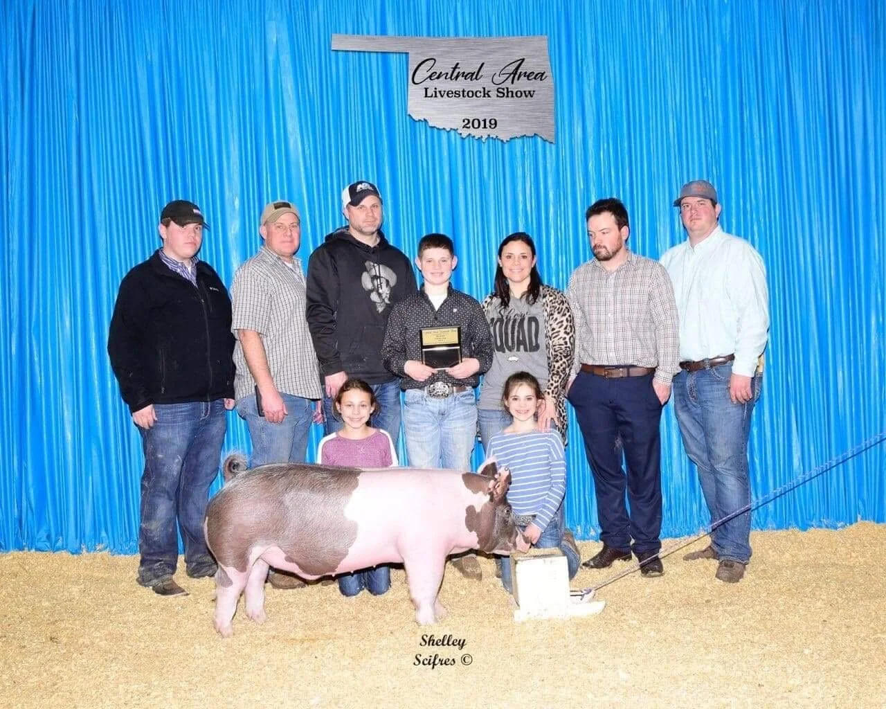 Bronze Market Hog Oklahoma Central District &amp; Grand Barrow Payne County OK