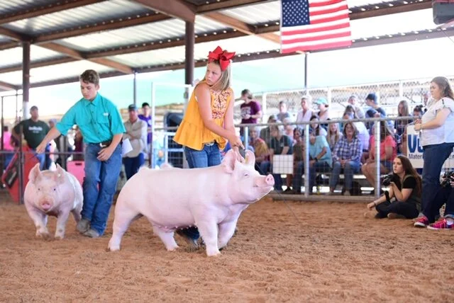 Champion York Barrow Parker County TX