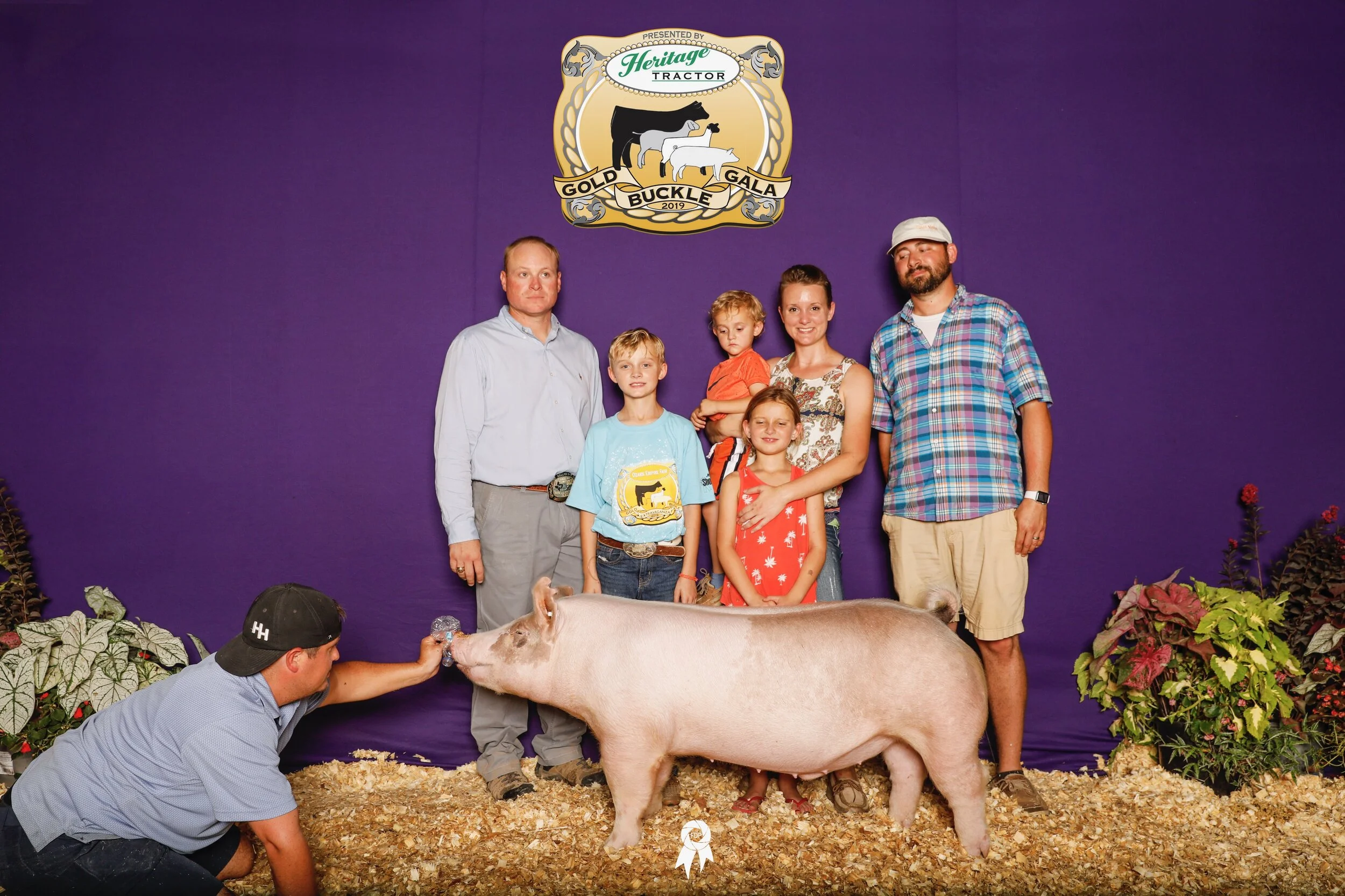 Third Overall Market Hog Gold Buckle Gala MO