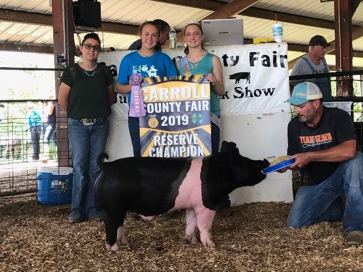 Reserve Champion Carroll County MO