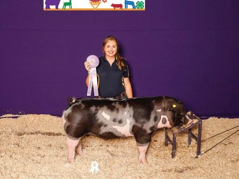 Reserve Champion Spot Oklahoma State Fair