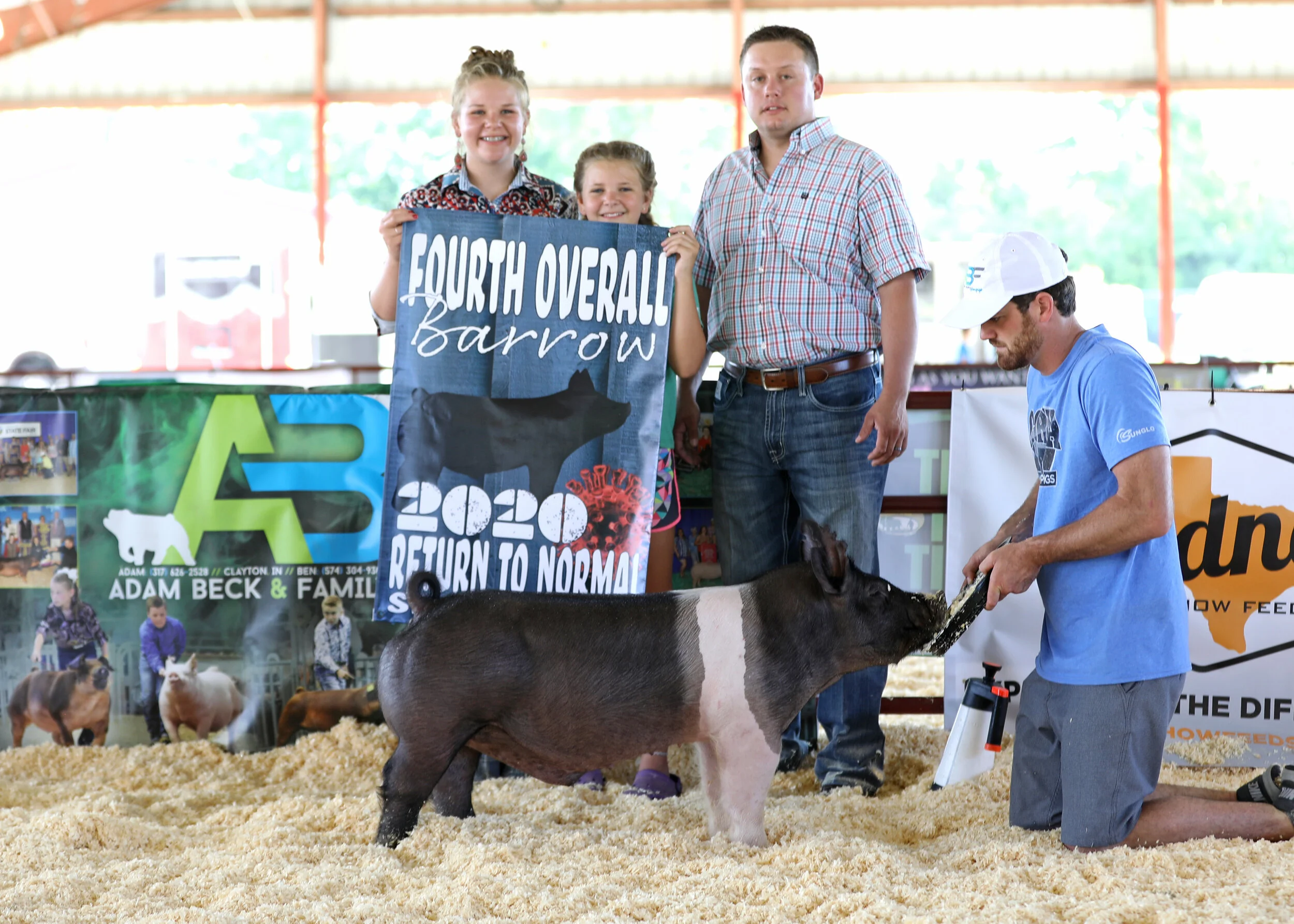 Fourth Overall Barrow Return to Normal Swine Show Indiana