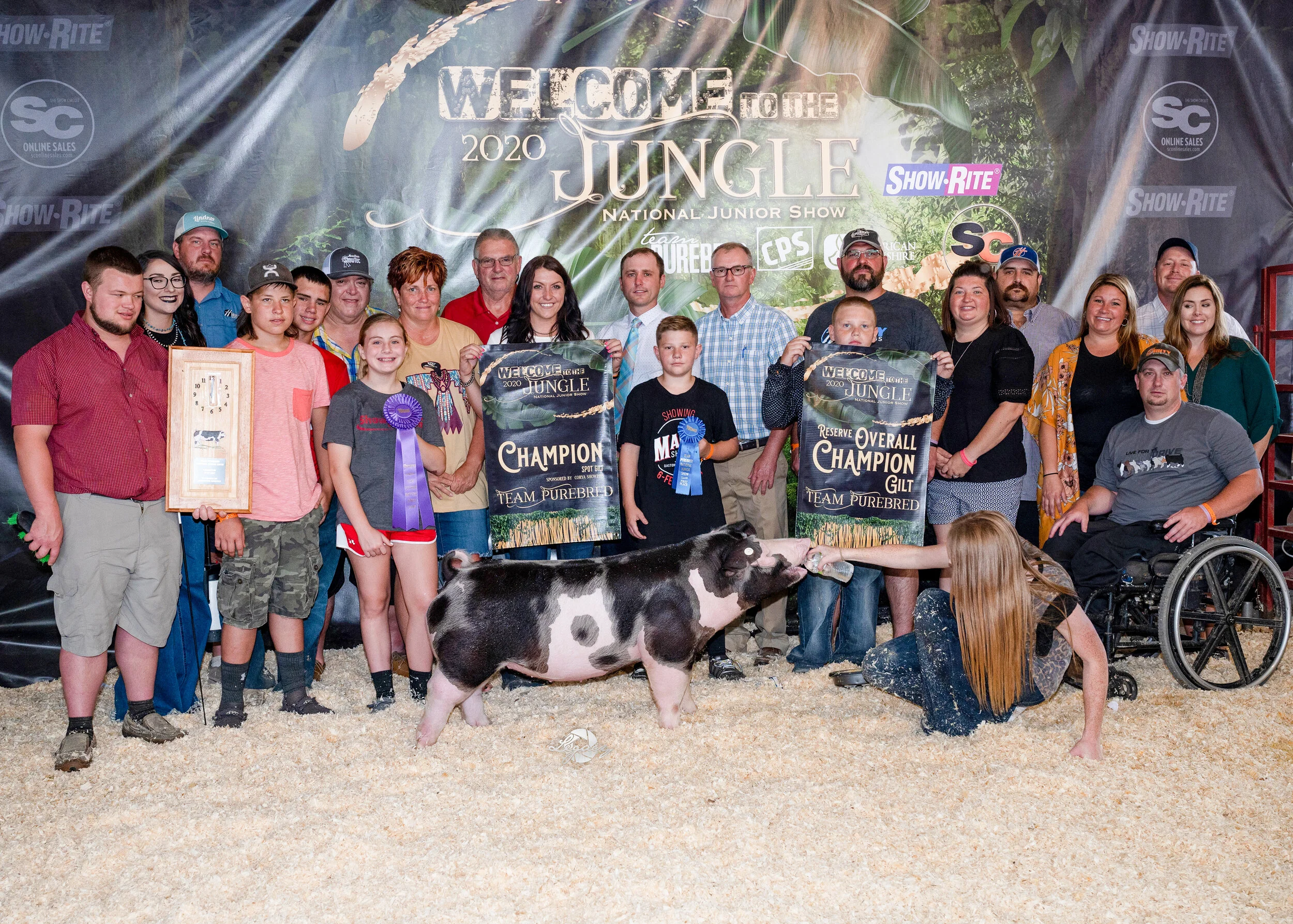 Reserve Grand Champion & Champion Spot Gilt National Junior Show