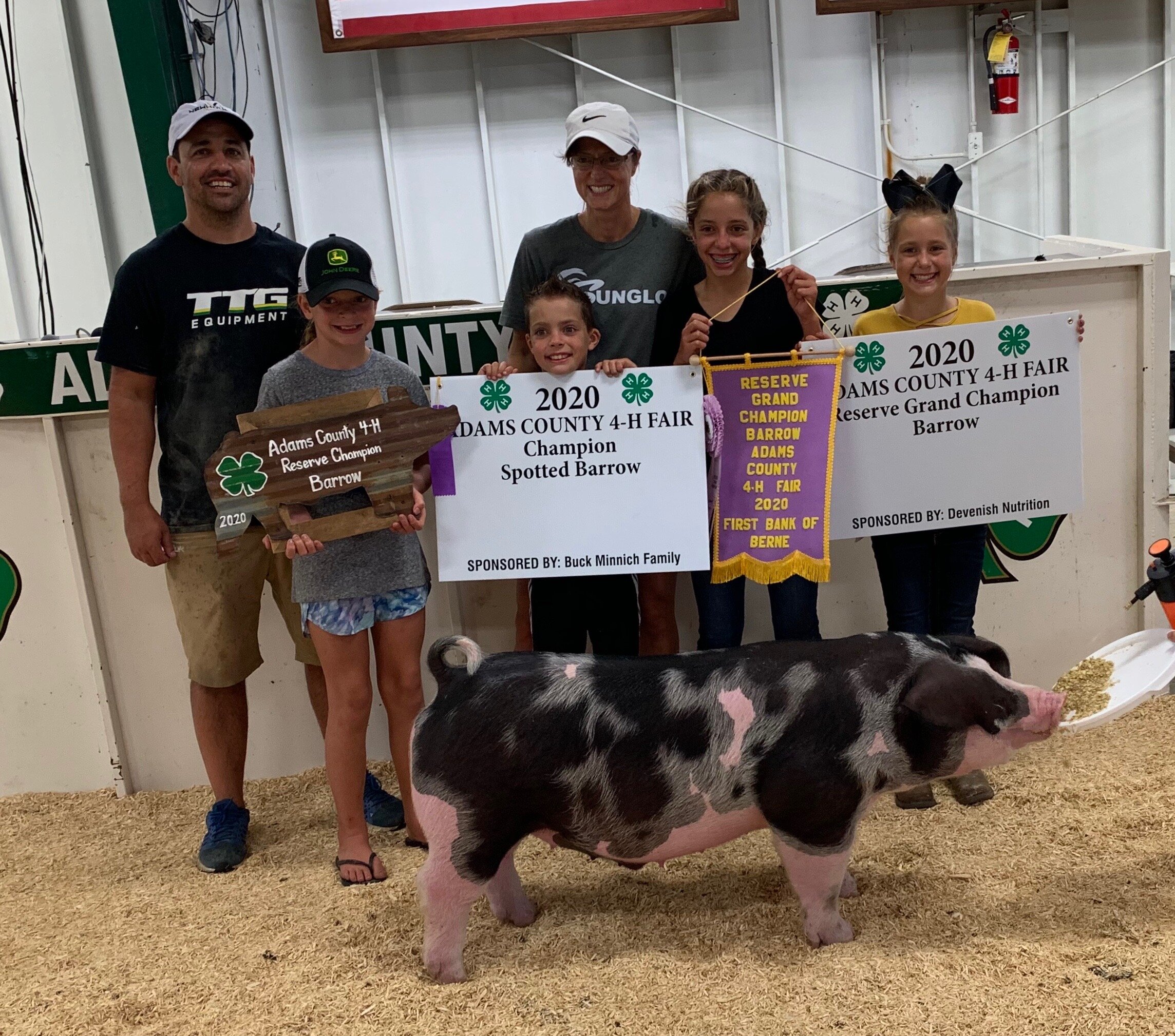 Reserve Grand Champion Barrow Adams County IN